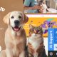 Furr – Veterinary & Pet Shop WordPress Theme