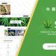 Tijuana – Marijuana Dispensary & Medical WordPress Theme
