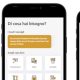 Dog Pet App – Vue JS – Strapi