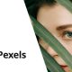 Pexels – Import Free Stock Images into WordPress