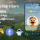 Duck Coin Tap-2-Earn Clicker Game With Telegram Mini App + API + Bot + Ethereum Wallet Connect