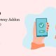 Iyzico Payment Gateway Addon for Downgrade