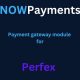 NOWPayments Payment Gateway Module for Perfex CRM