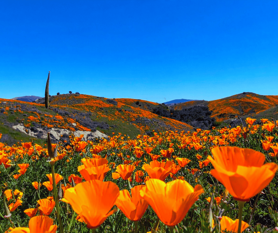 Air Conditioner Blows Warm Air 