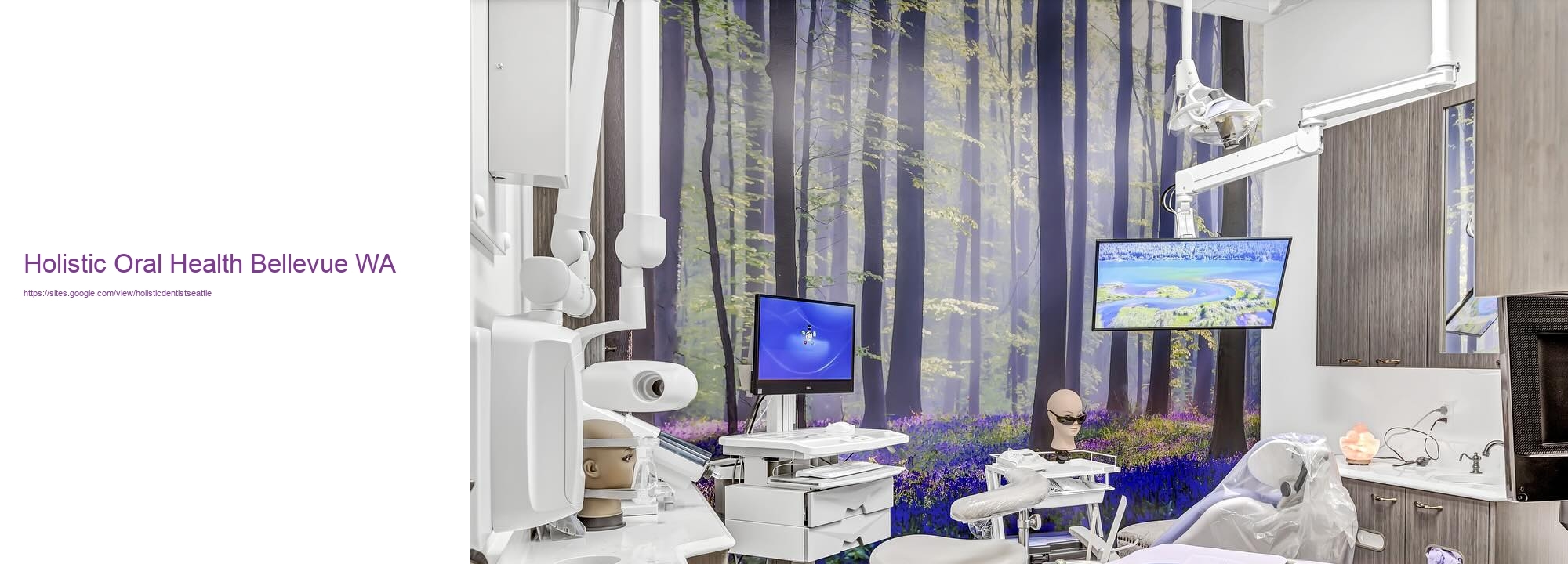 Holistic Oral Health Bellevue WA