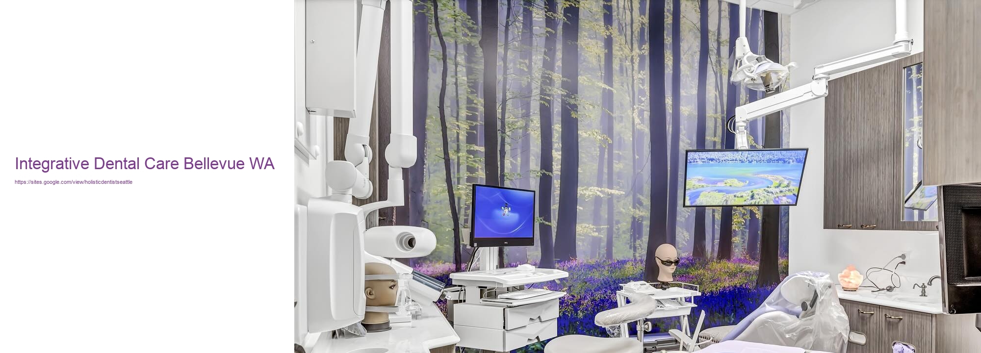 Integrative Dental Care Bellevue WA