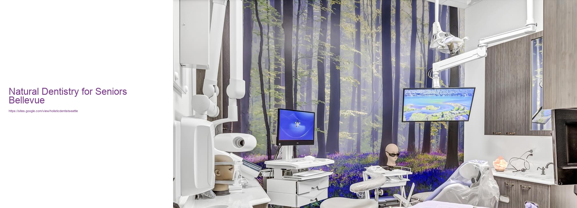 Natural Dentistry for Seniors Bellevue