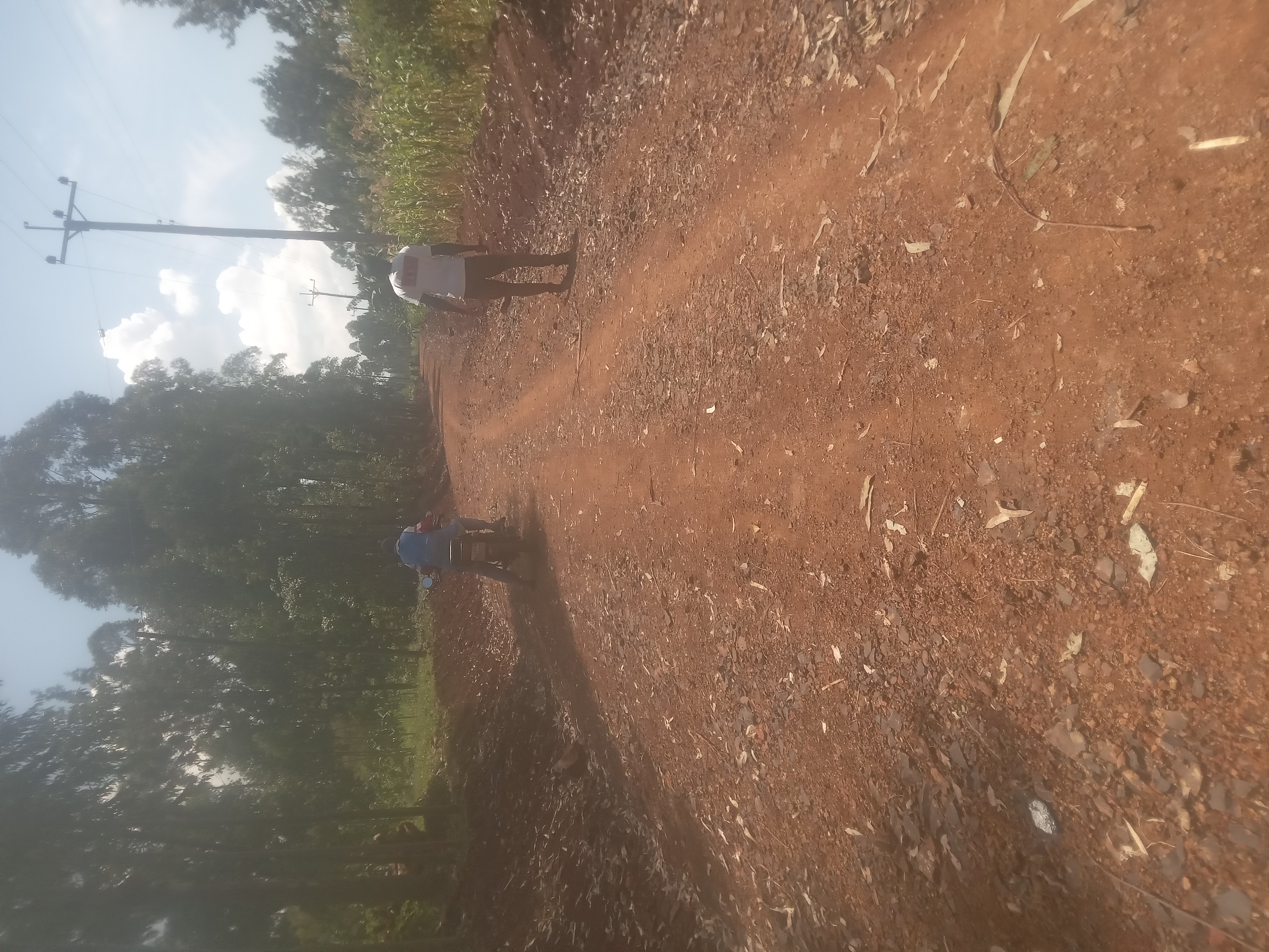 Adega - Nyasore Road