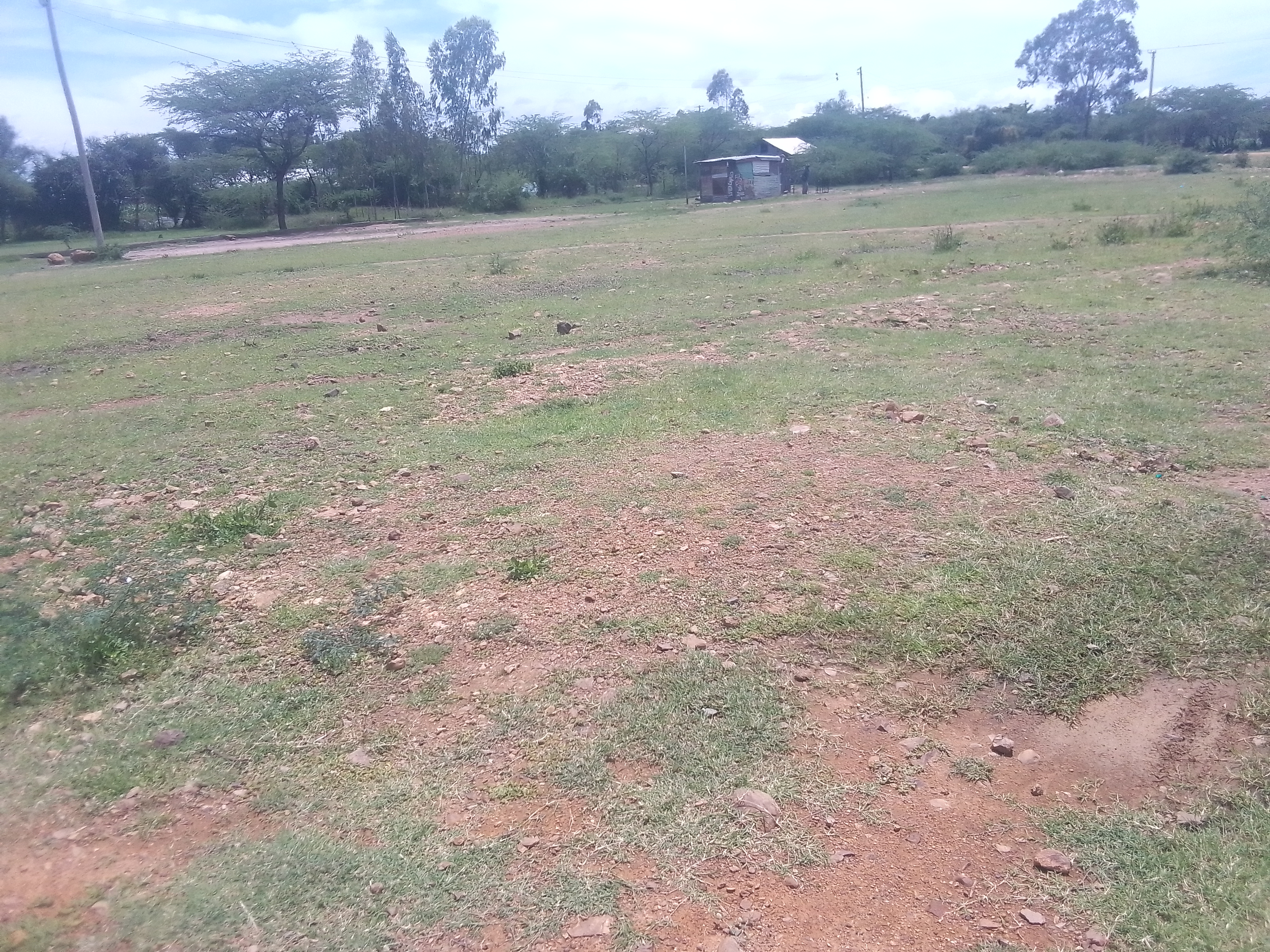 Murraming of Mijeri market