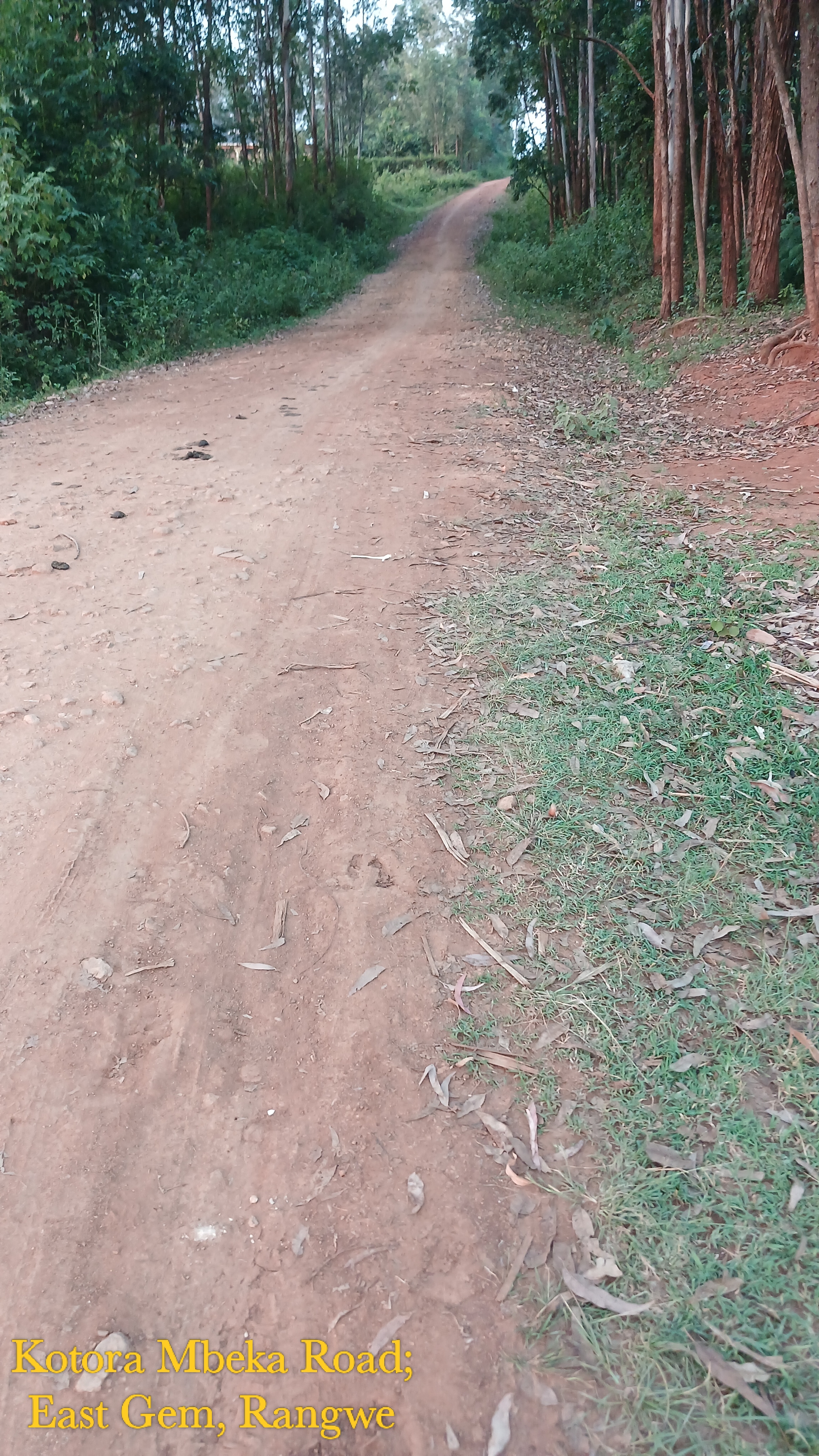 Routine maintainance of Kotora Mbeka Road