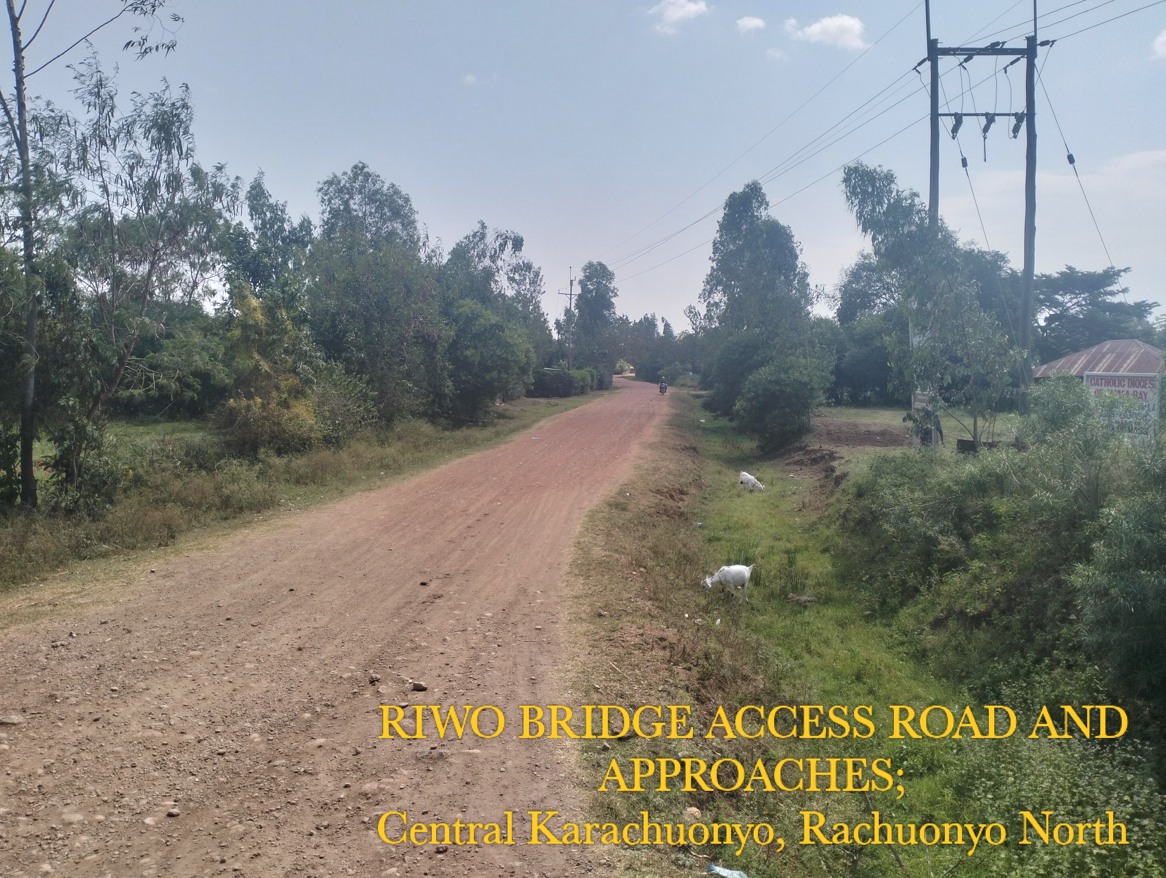 PROPOSED REHABILITATION OF RIWO BRIDGE ACCESS ROAD AND APPROACHES