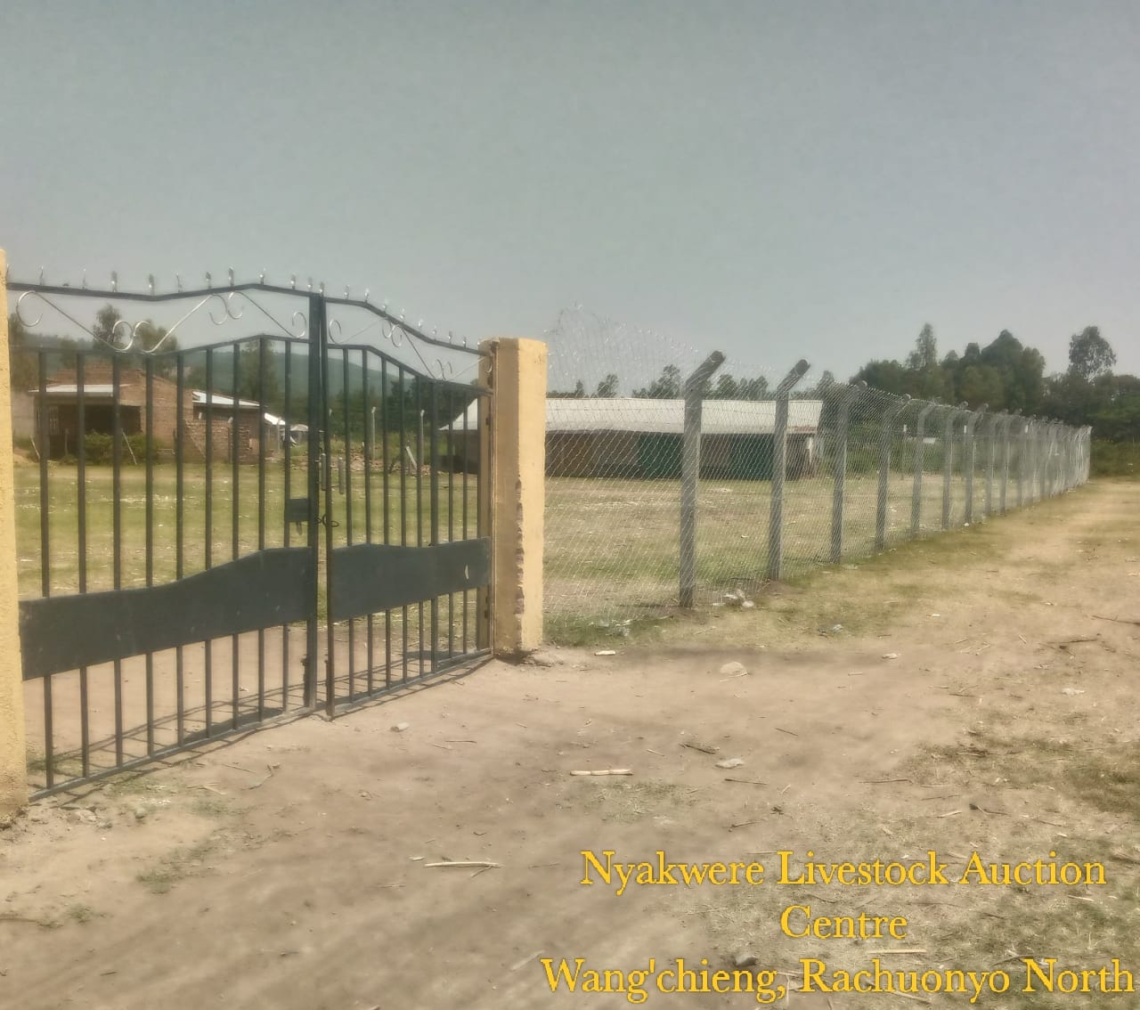 NYAKWERE LIVESTOCK AUCTION CENTRE