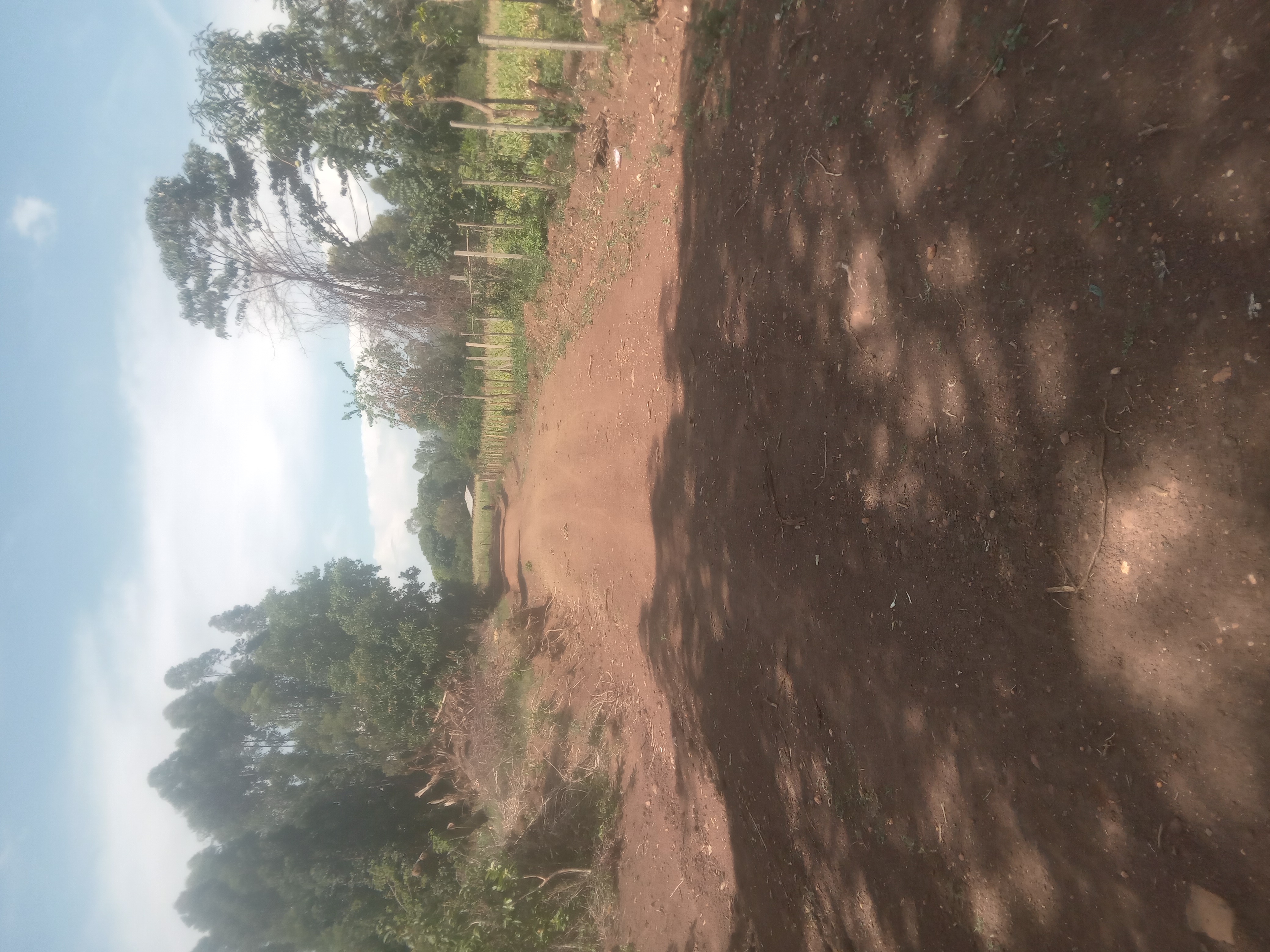 Junction Kombija- Miriu Riverbank Road.