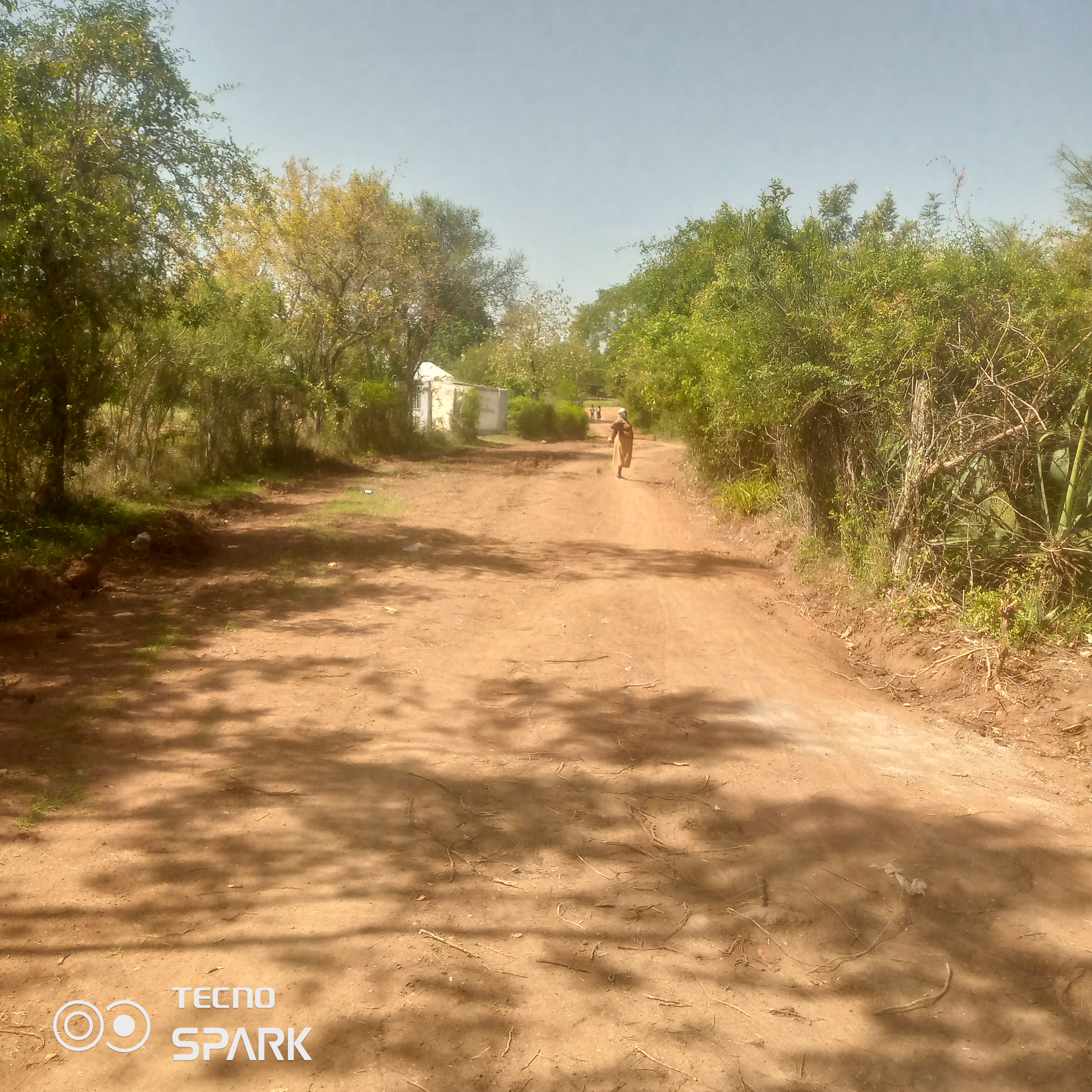 opening and maintenance of nyangajo access road
