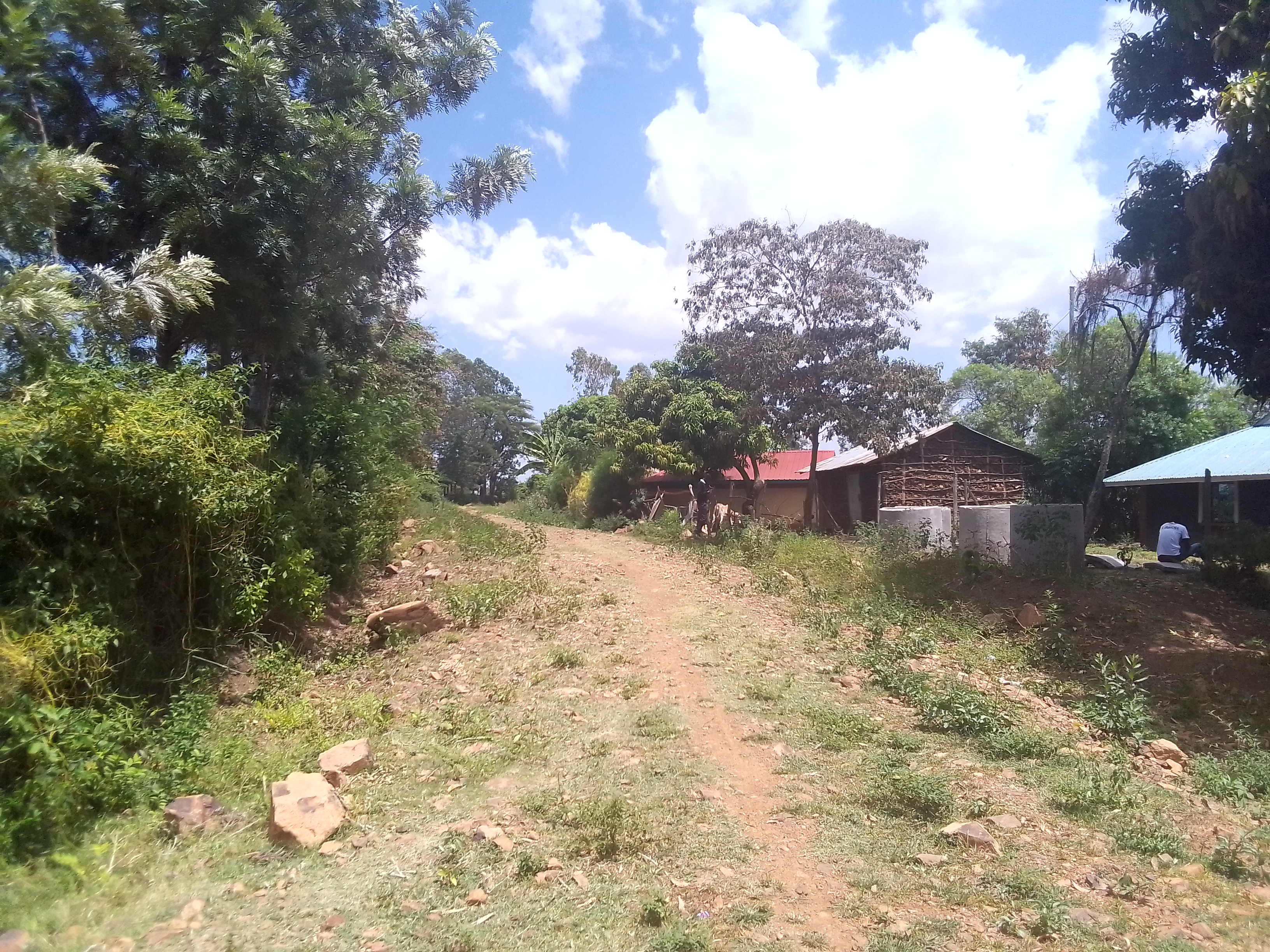 Opening ,grading and culverting of oneno- Atili road