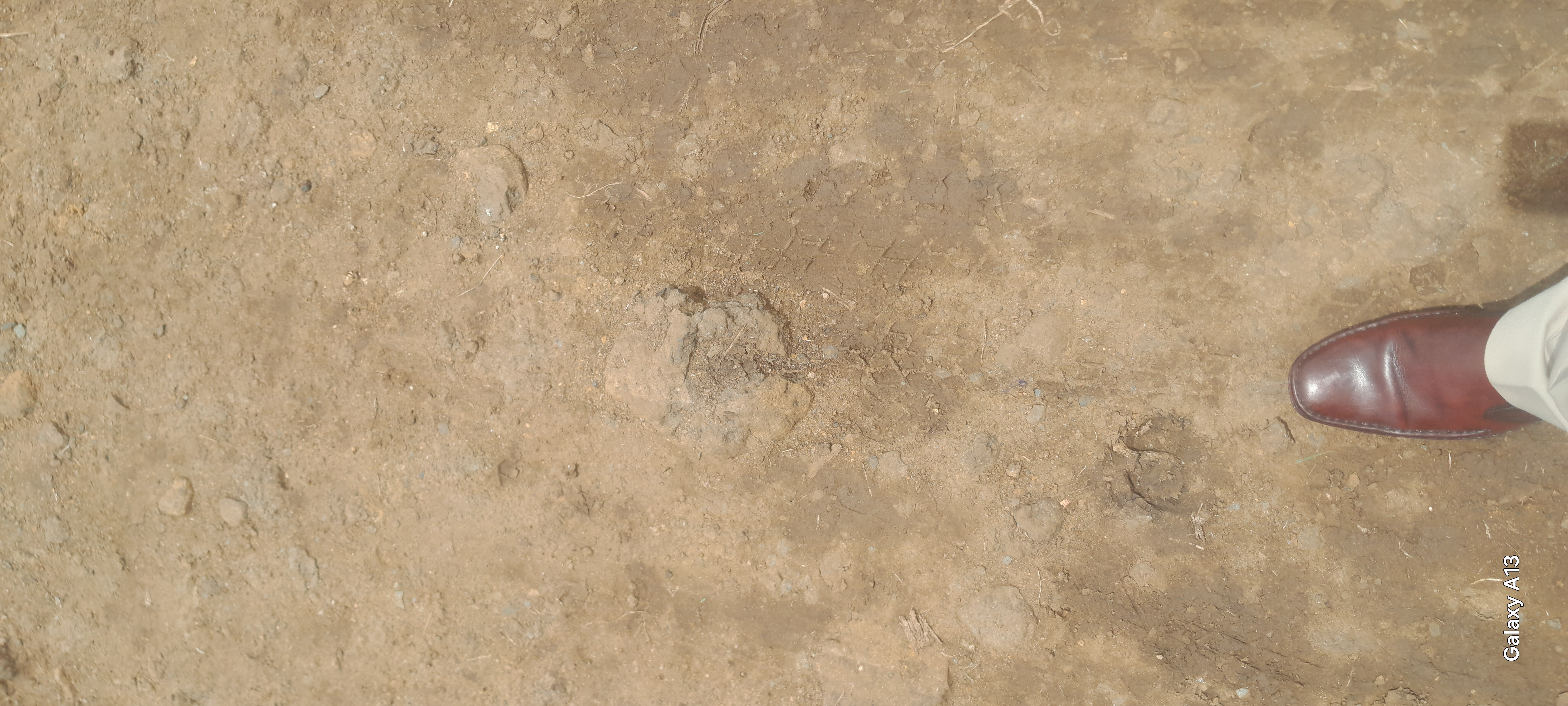 Dunga-Omako koth road