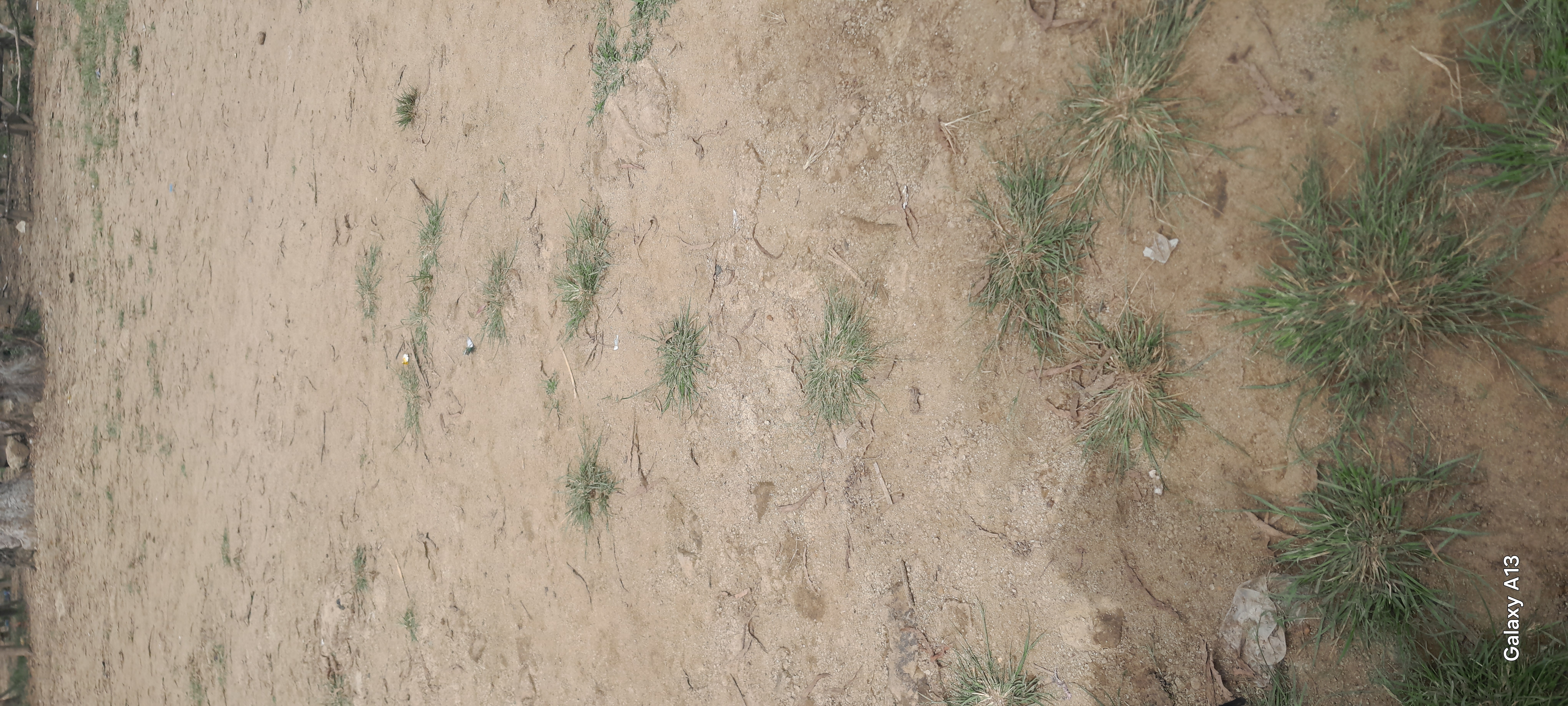 Murraming Andiwo market