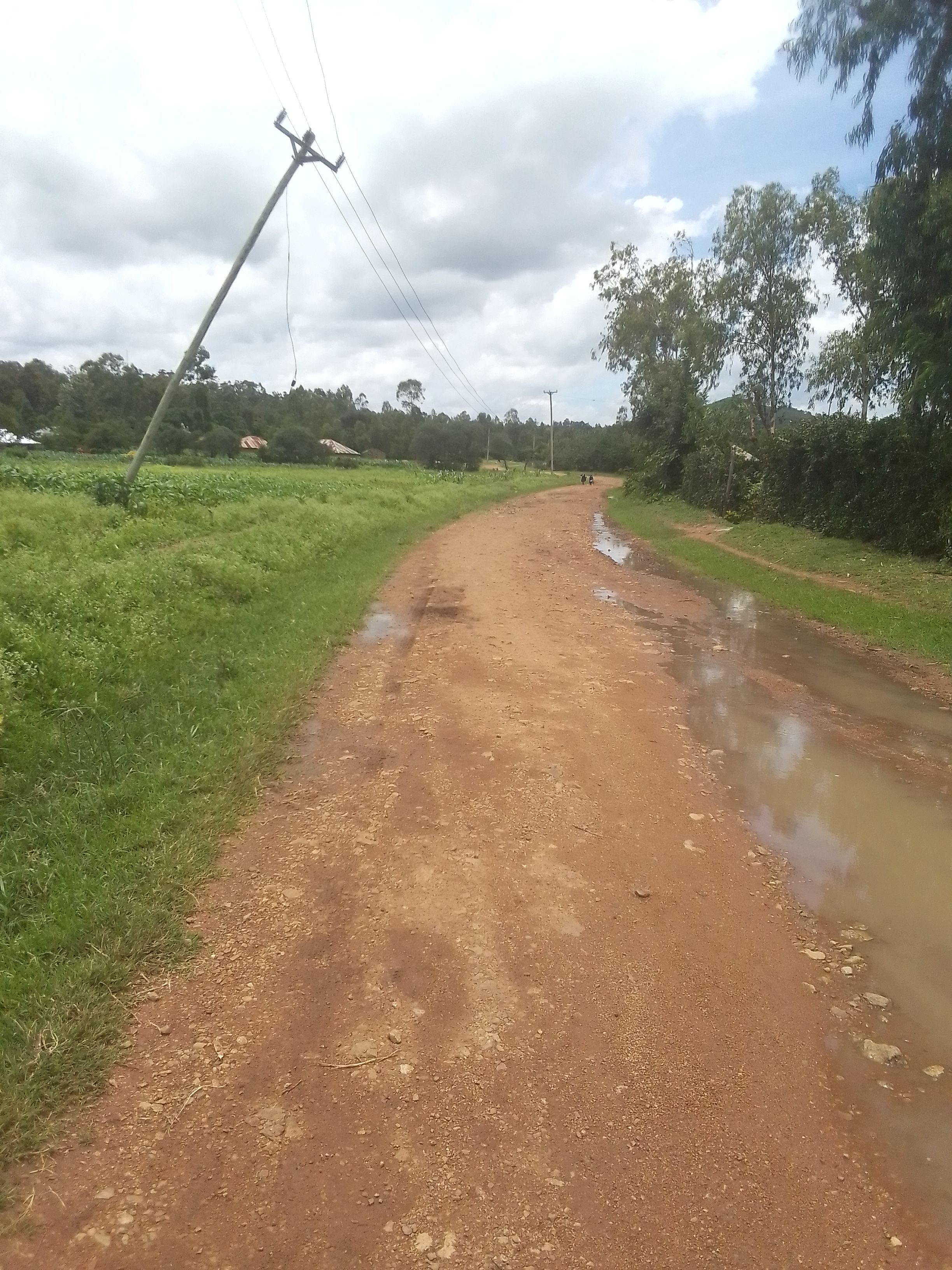 Maintenance of Ngegu- Omoya road