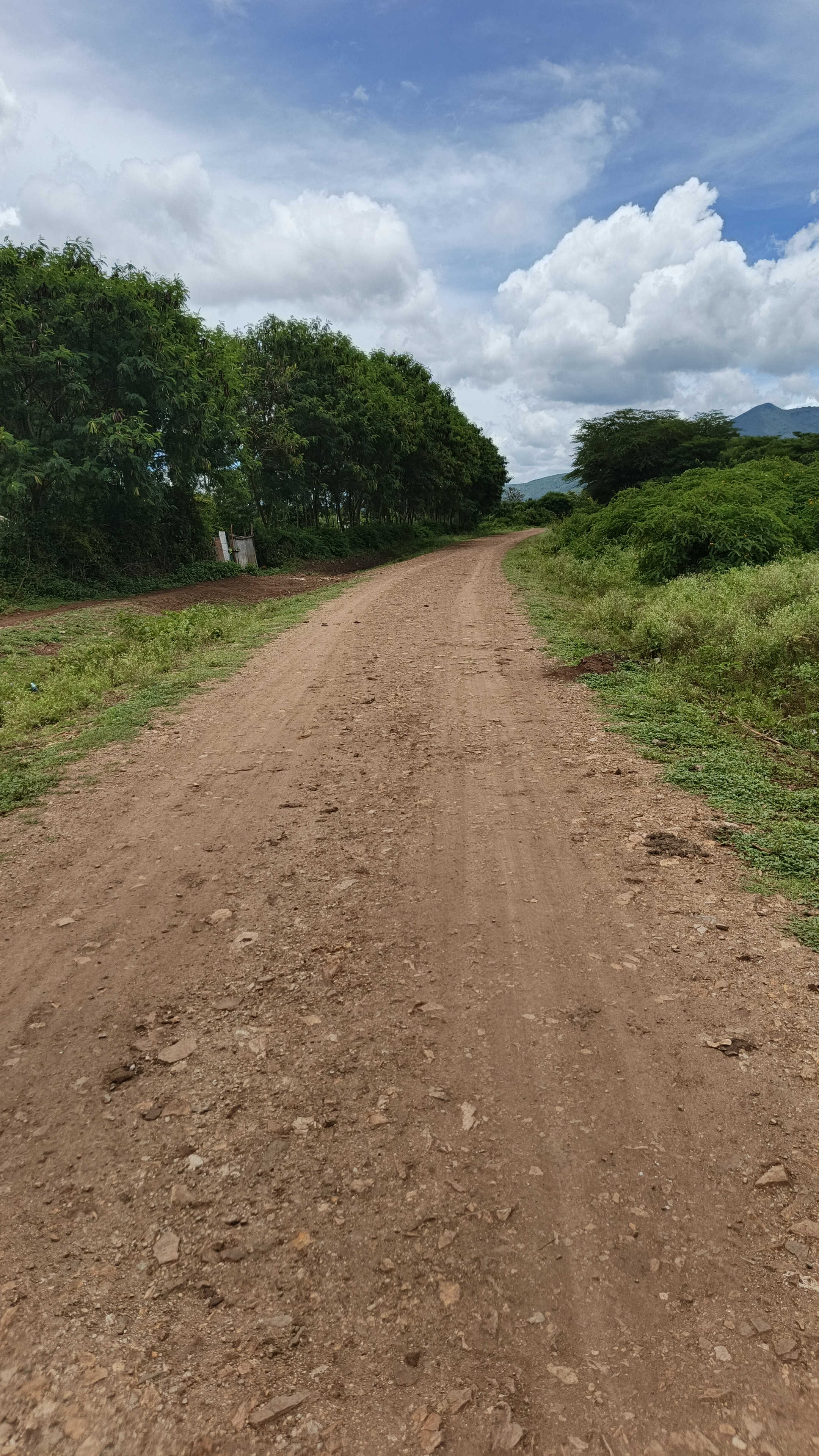 Moi Girls - Manyala - Sumba - Sawanka - Nyalkembo - Nyadenda really road.