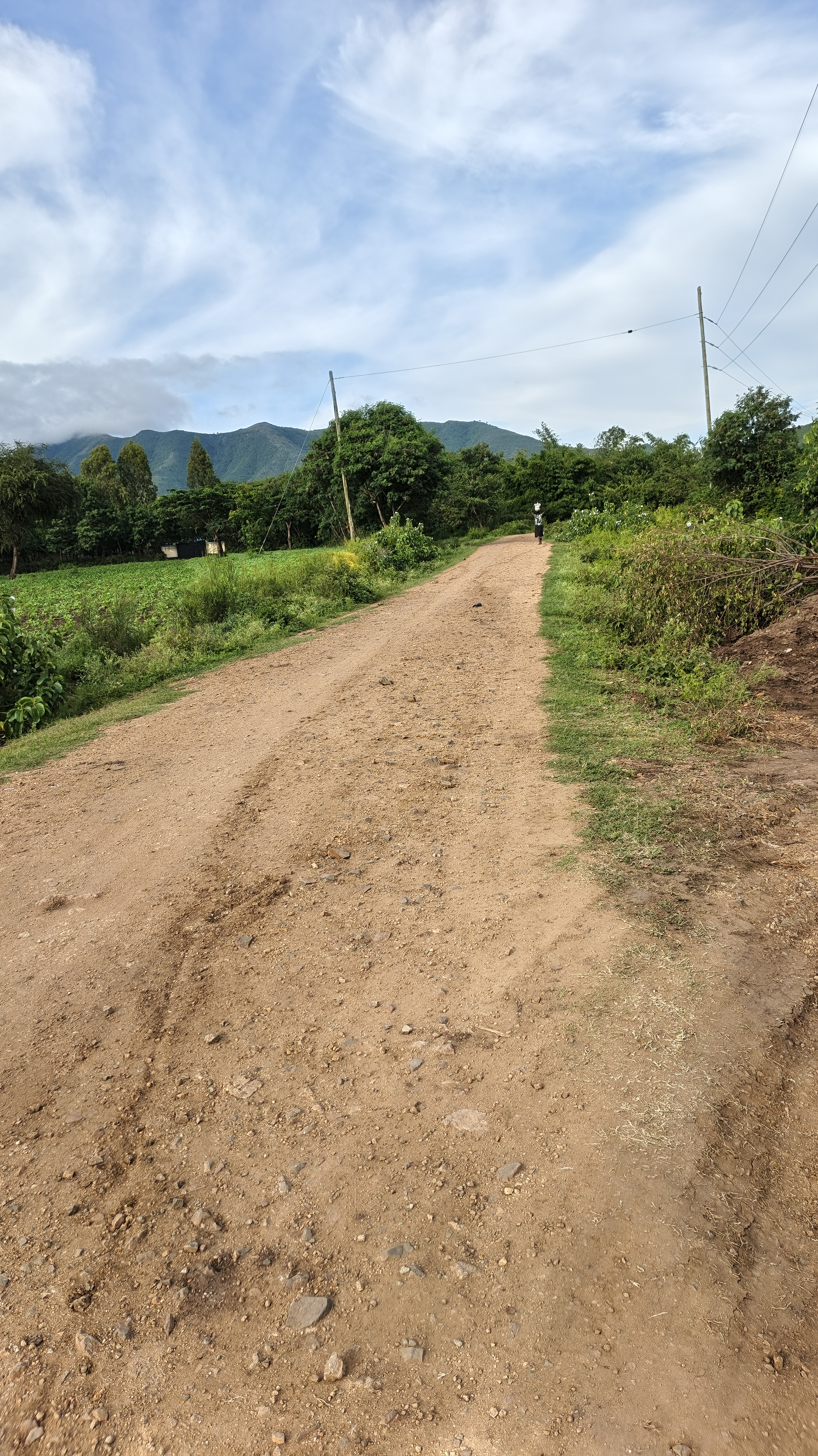 Koliech - Onywera road