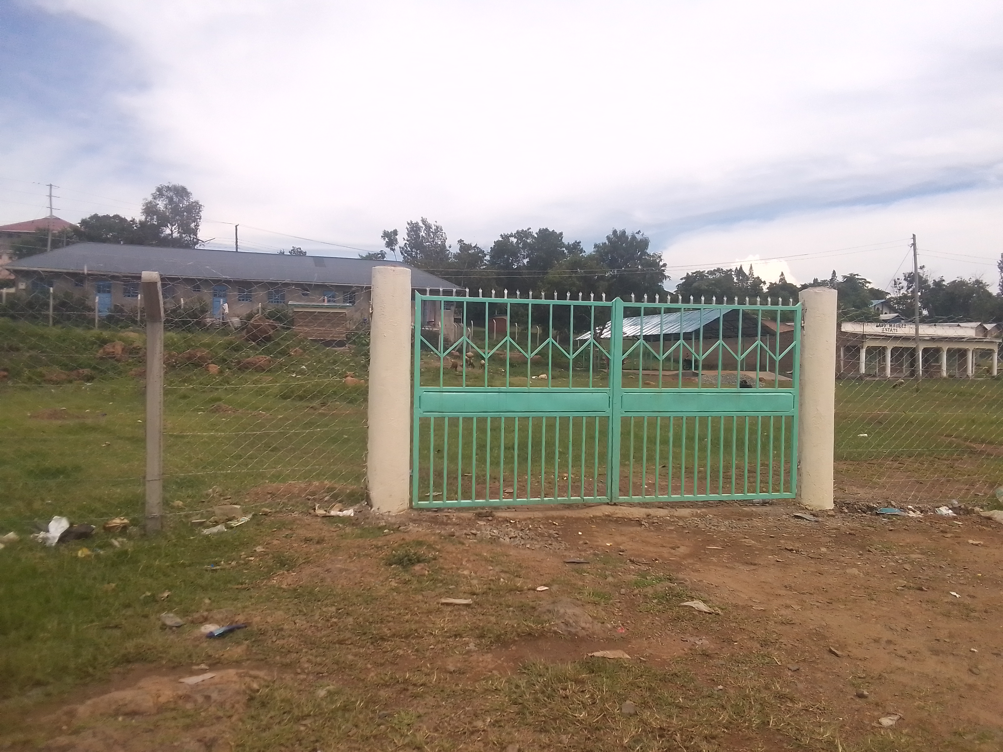 Nyangweso cattle auction Ring