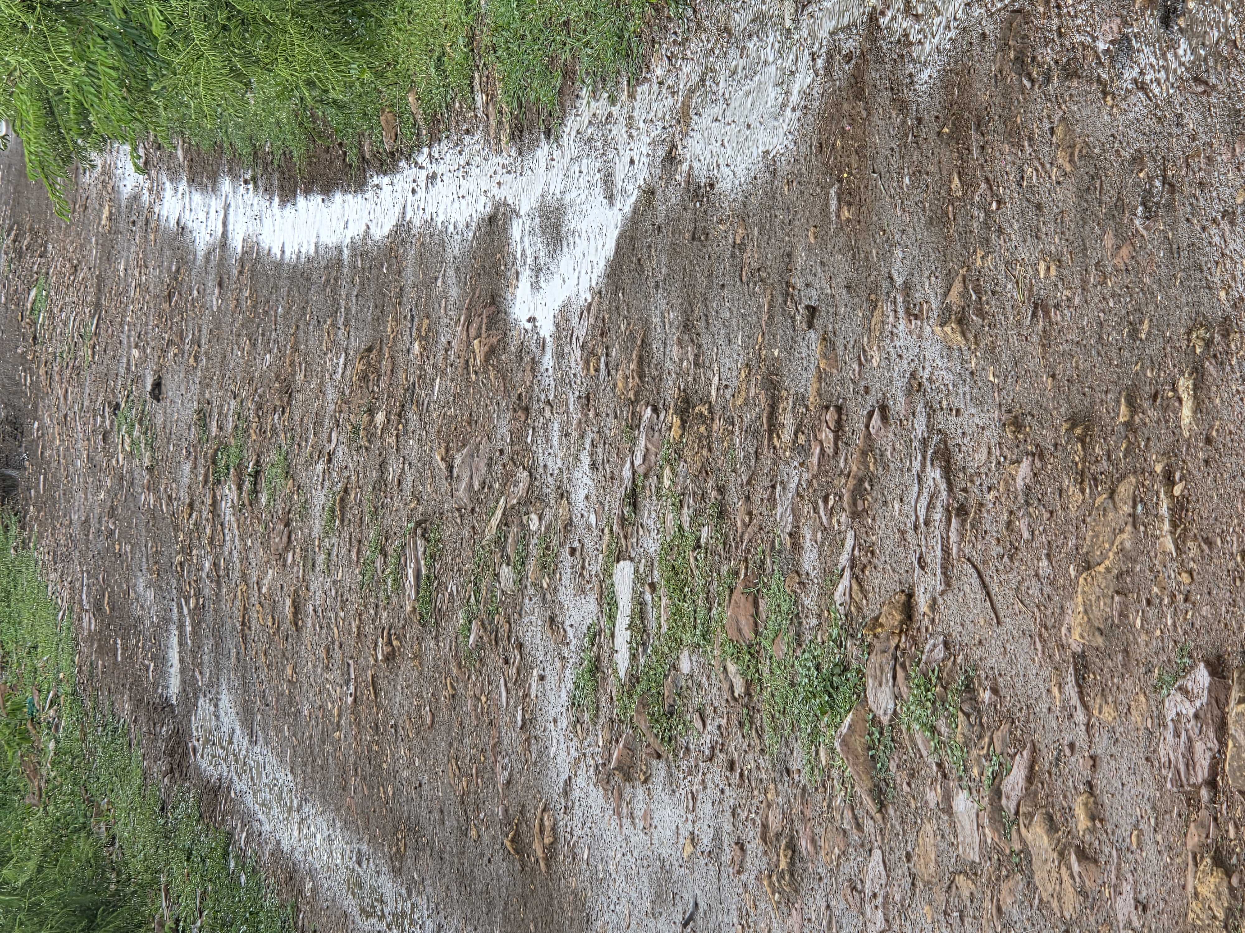 GRADING ,GRAVELLING AND CULVERTING OF KODHOCH BRIDGE -NYABIAGE- KIMBA VILLAGE -JUNCTION B2 ROAD
