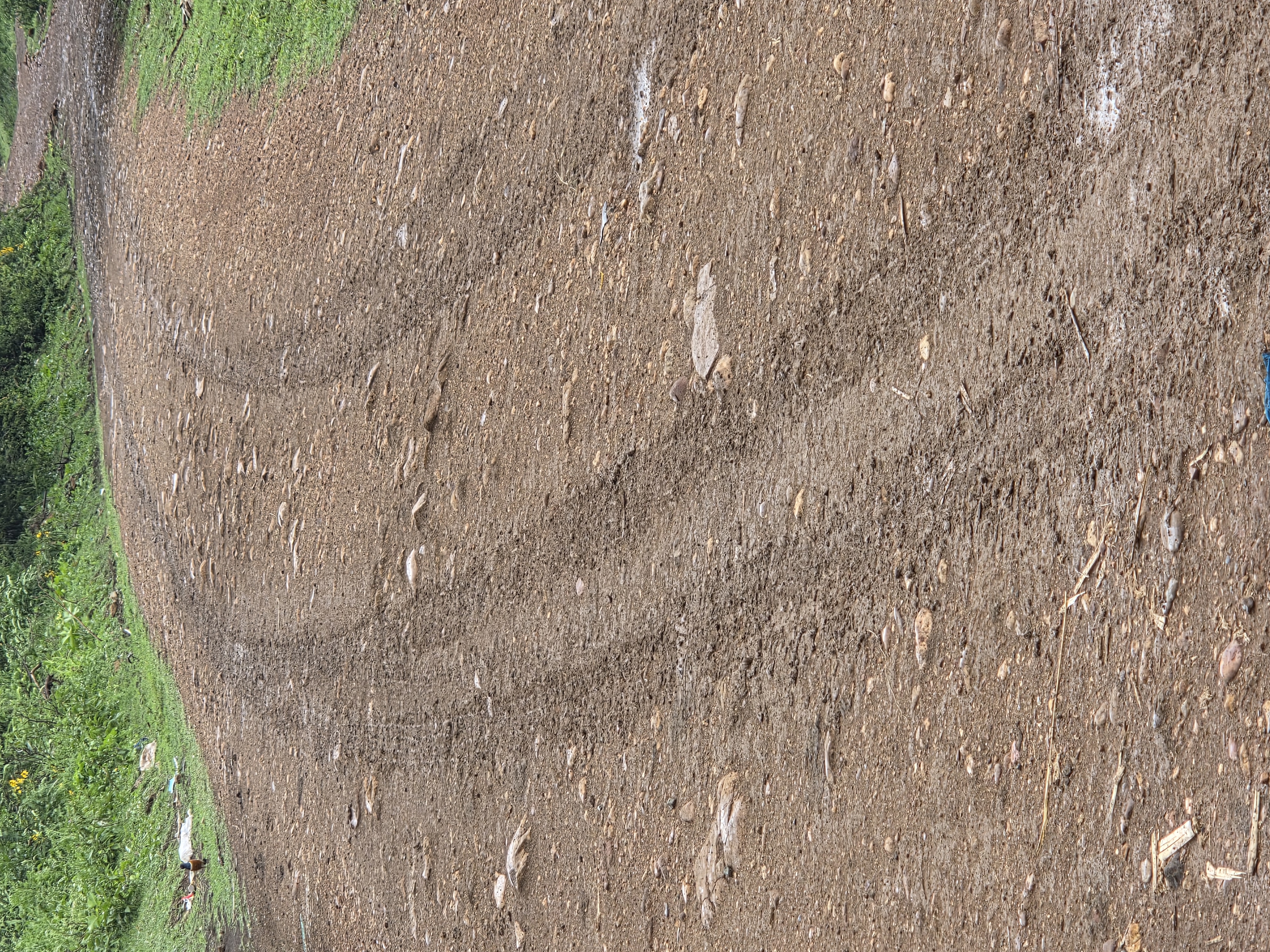 GRADING AND GRAVELLING OF NJERI JUNCTON- KADEL ROAD