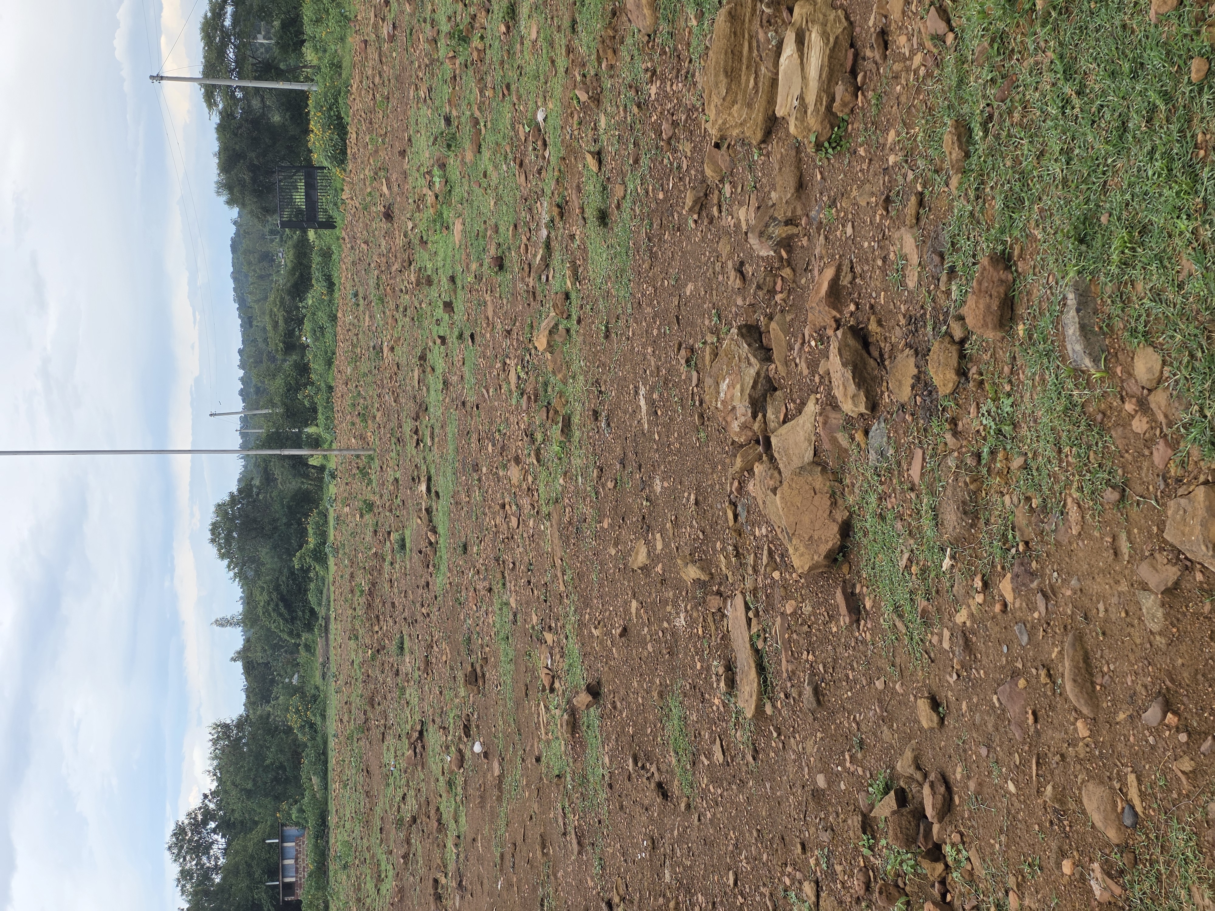 MURRAMING AND FENCING OF KADEL MARKET