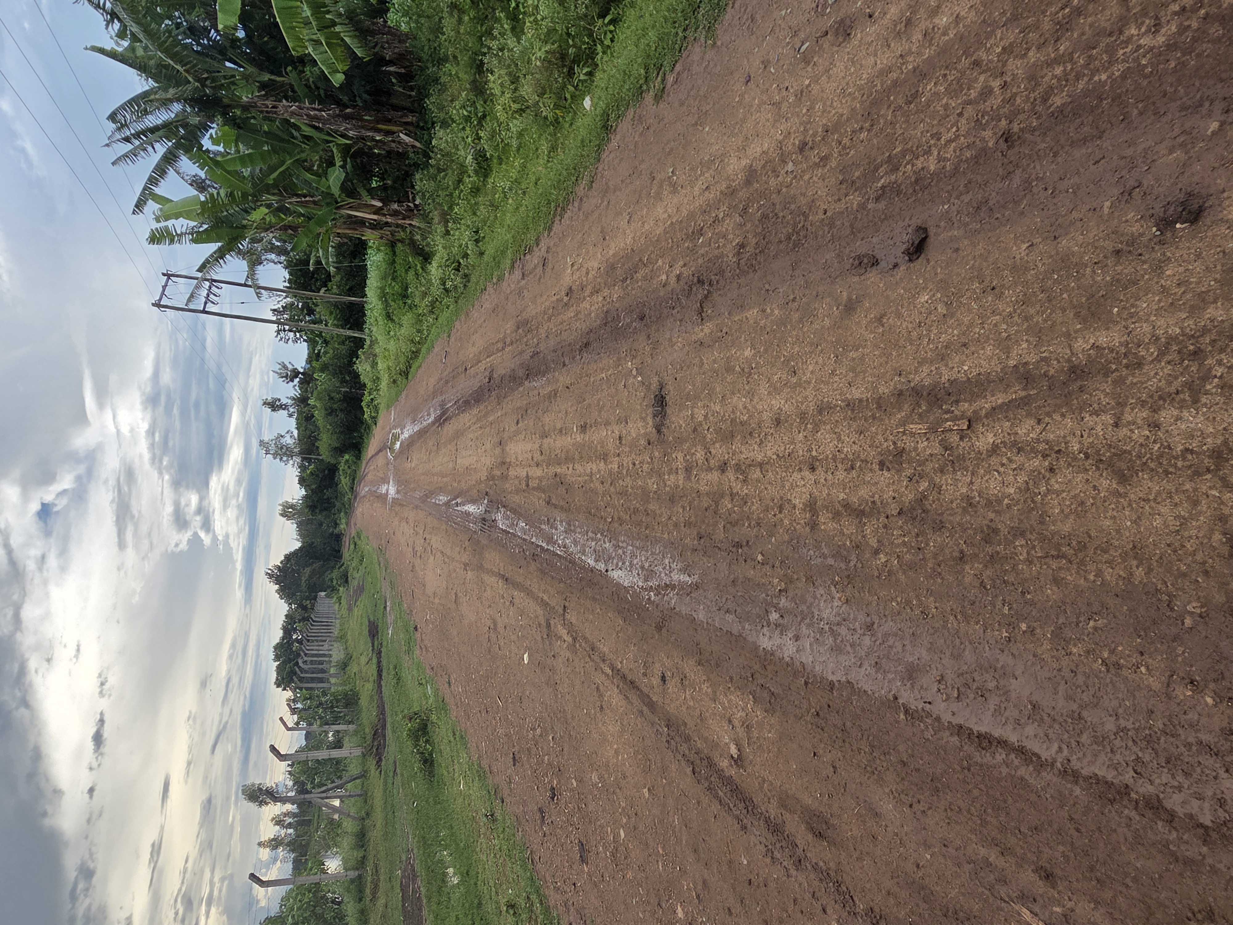 ROUTINE MAINTENANCE OF NYANGWESO-BURU-WAYARA SDA ROAD