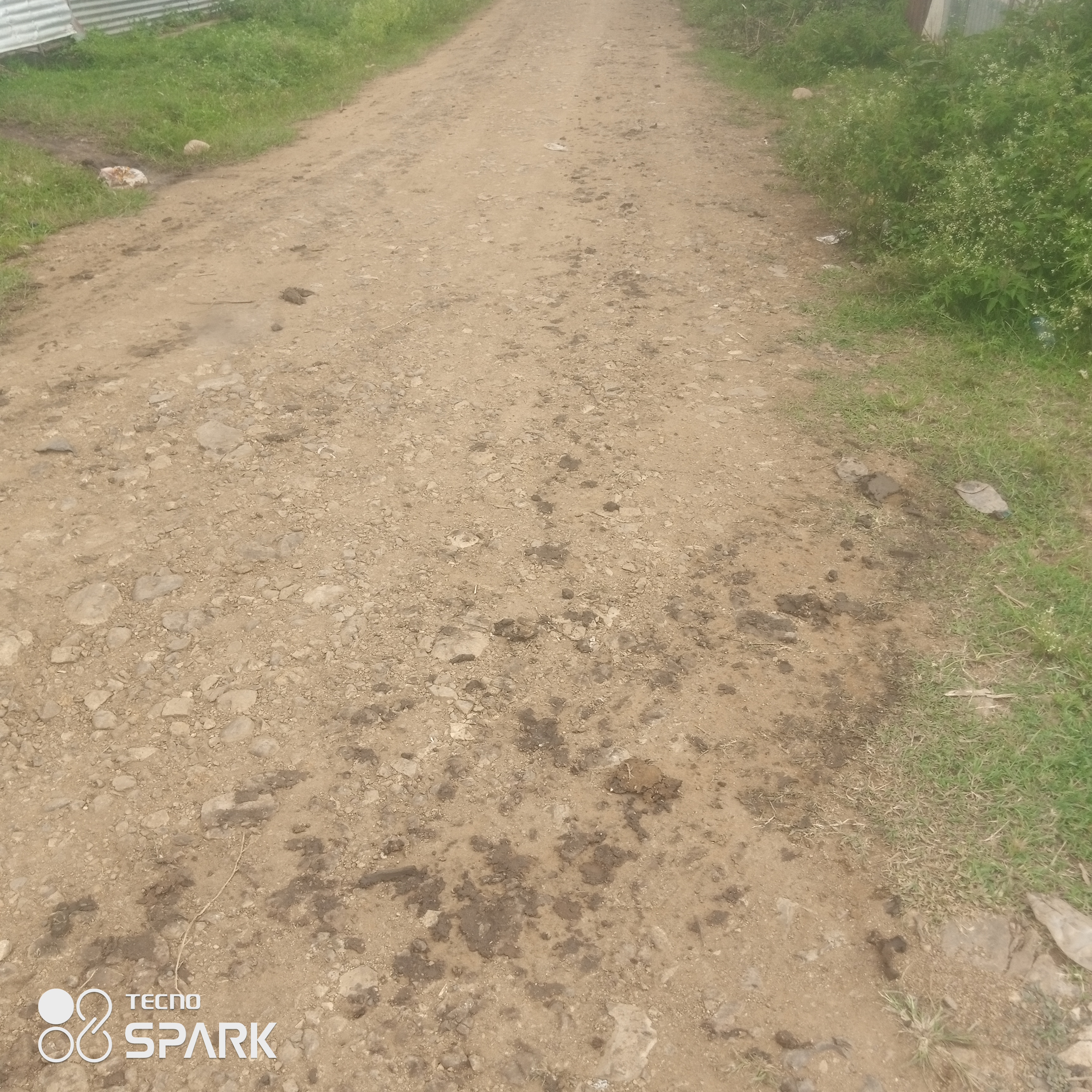 Proposed maintenance of jnc pundo Obambo road.