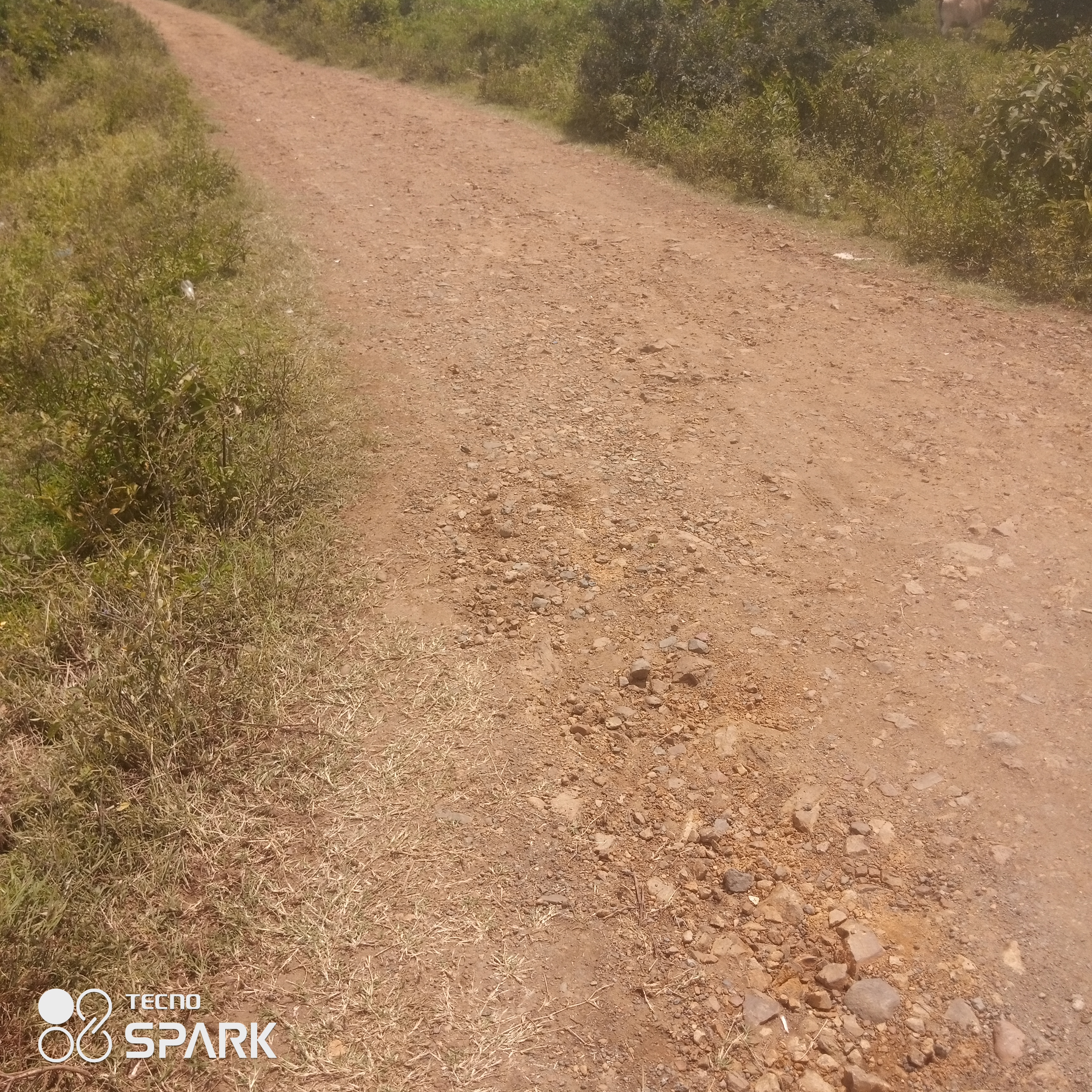 Proposed opening and rehabilitation of lieta kabunde alara road.