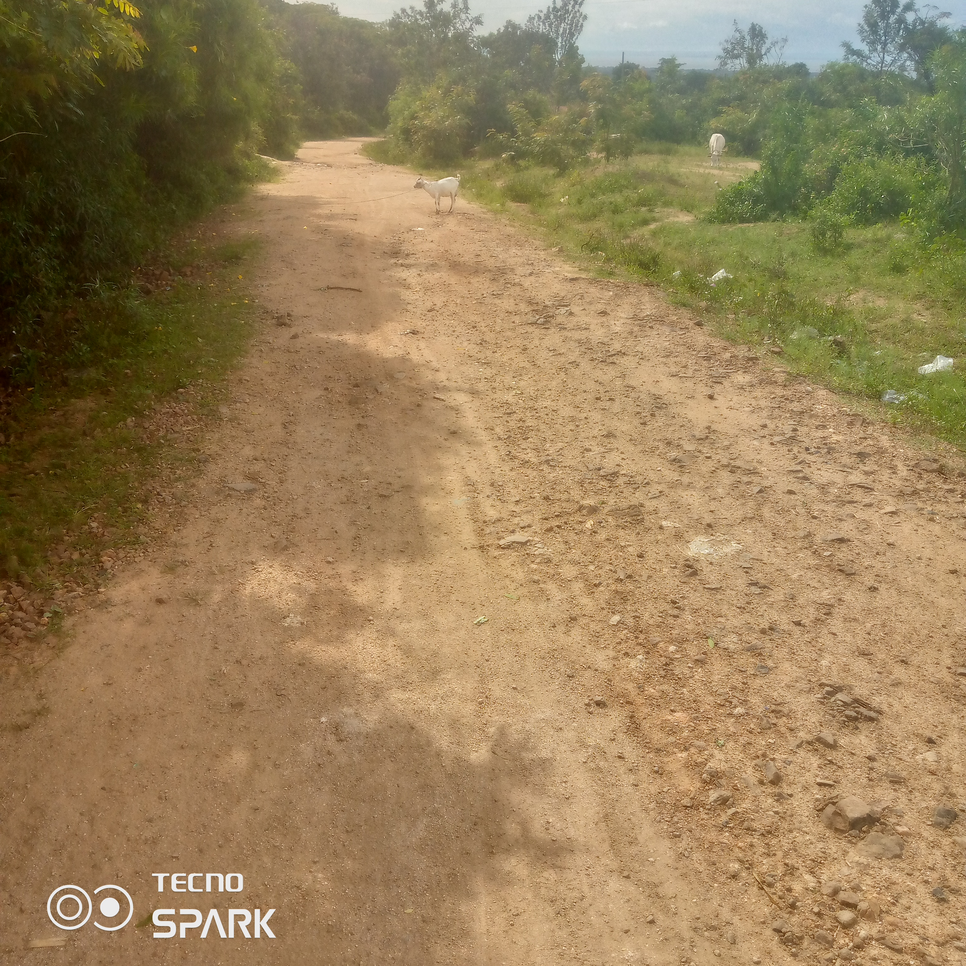 Maintenance of Ogango/Arub okoko/Nyakchero road