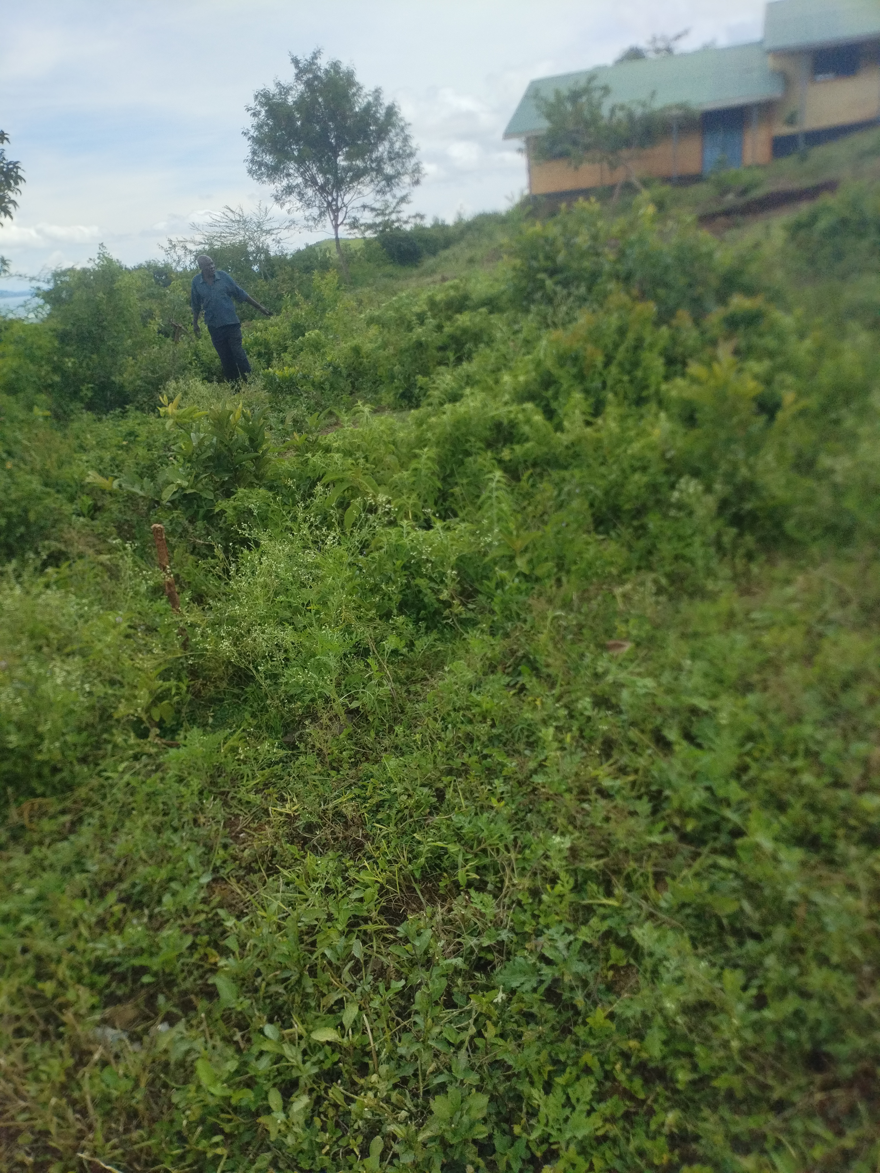 Nyakweri EYE classroom.