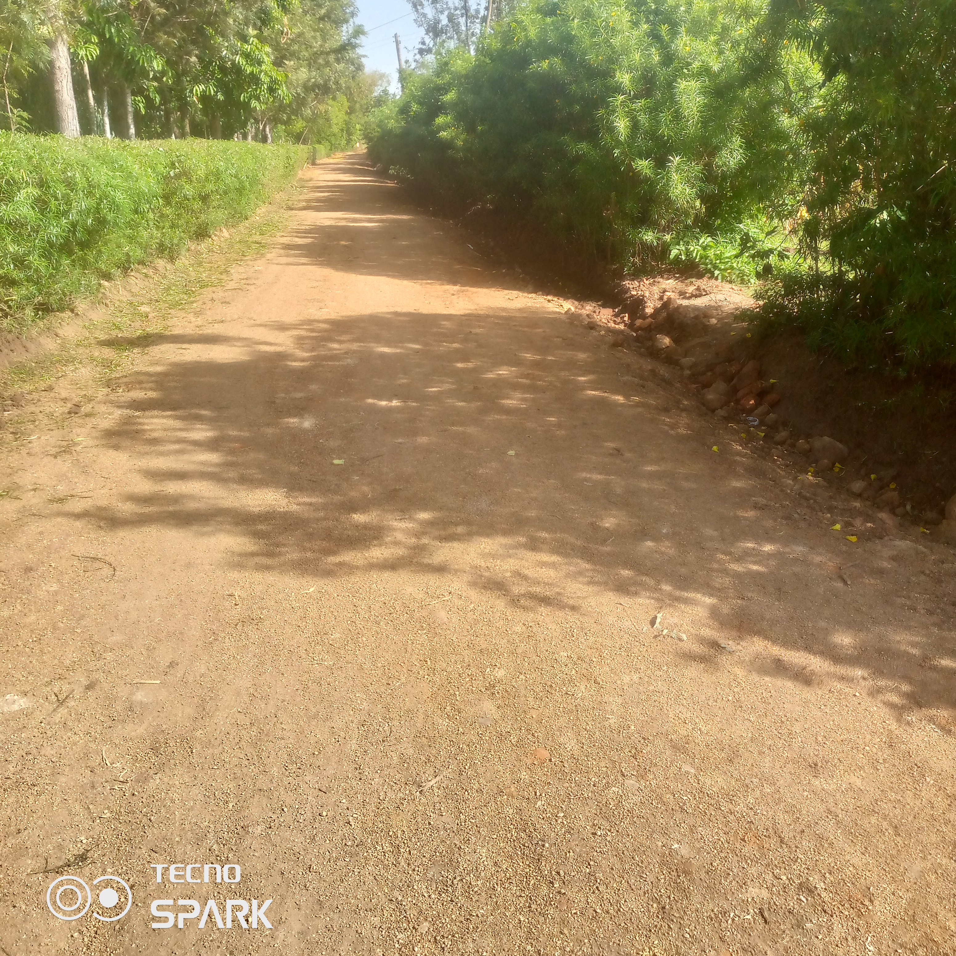 Kogembo/gem oremo water point road