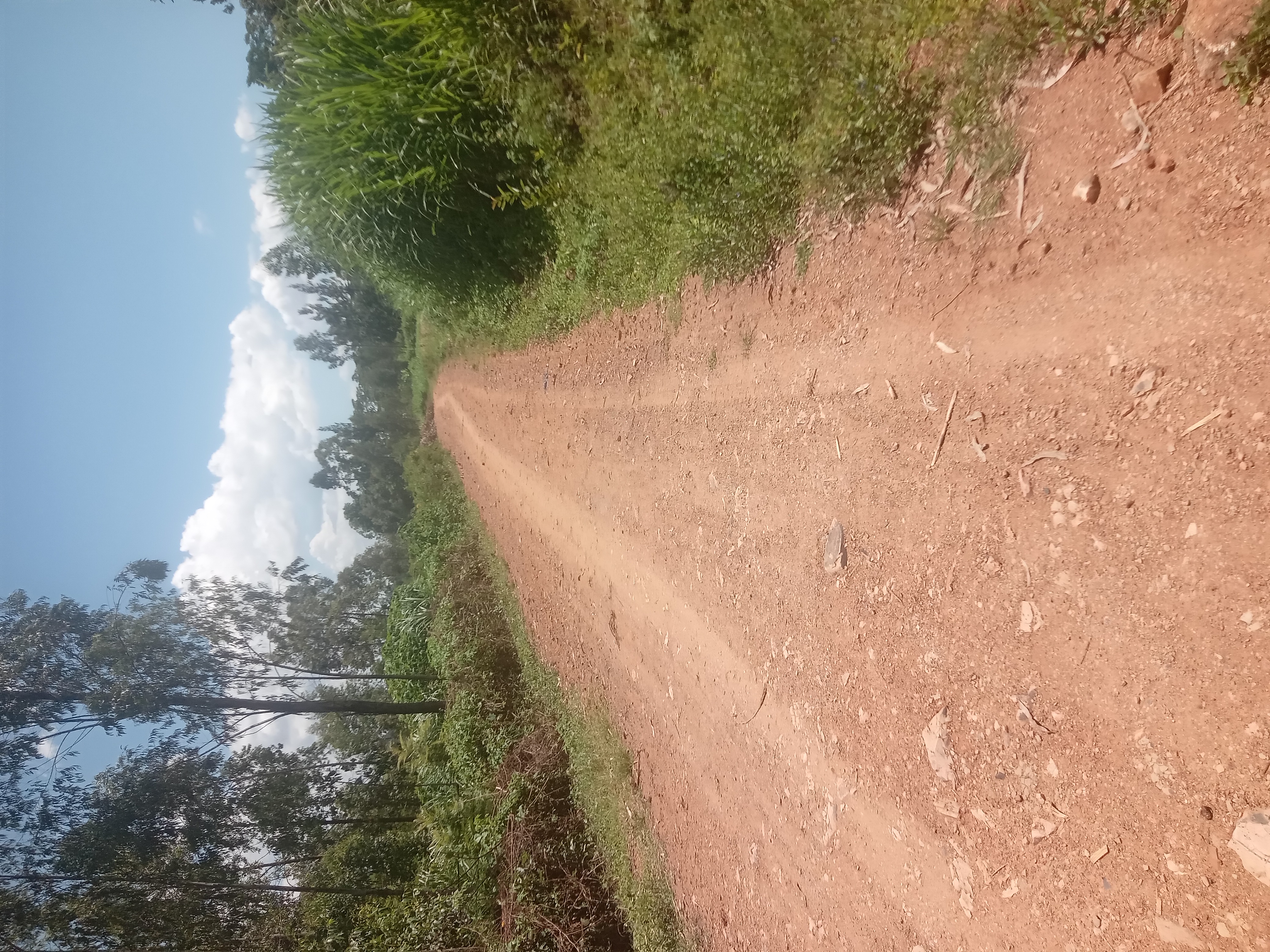 Chagere - God Miaha - Ring Road