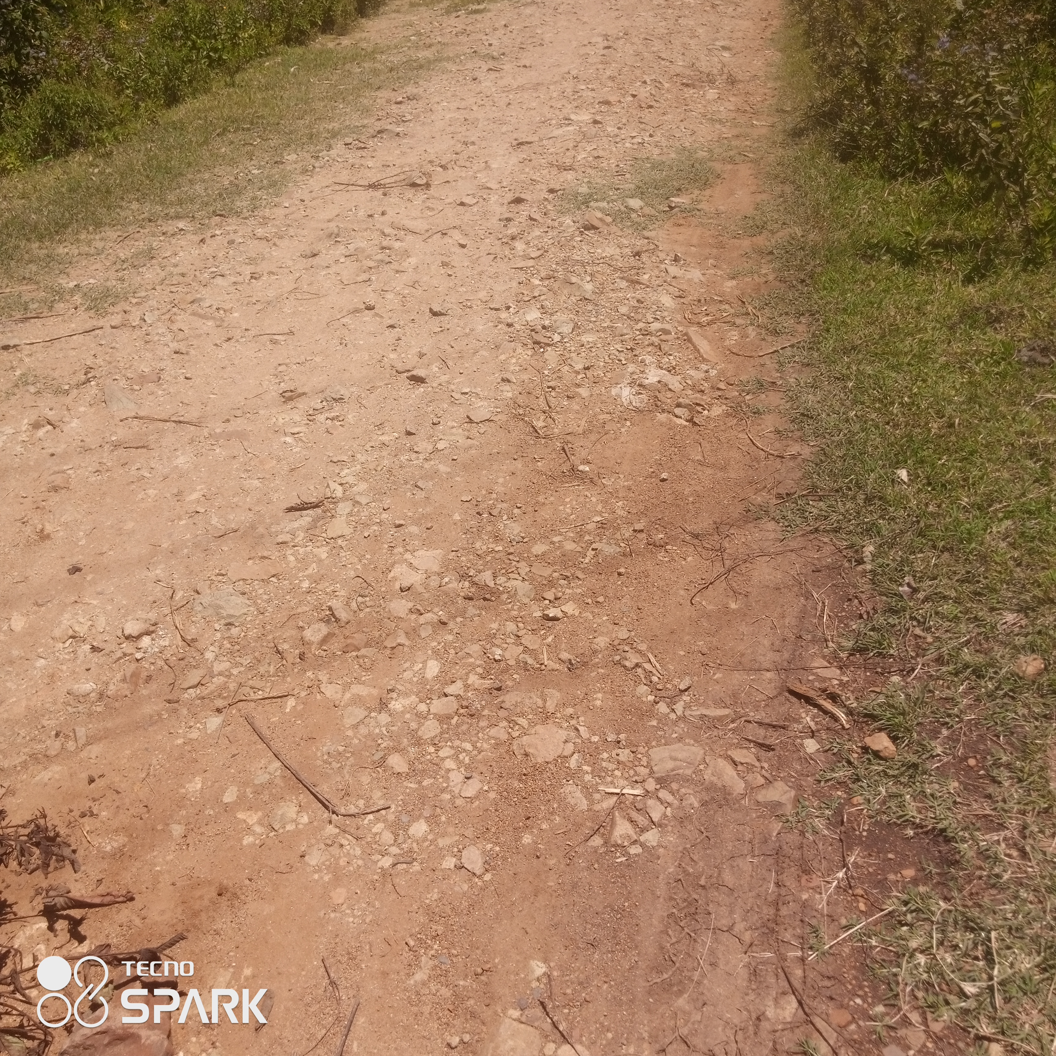 Routine maintenance of loorateng majiwa road