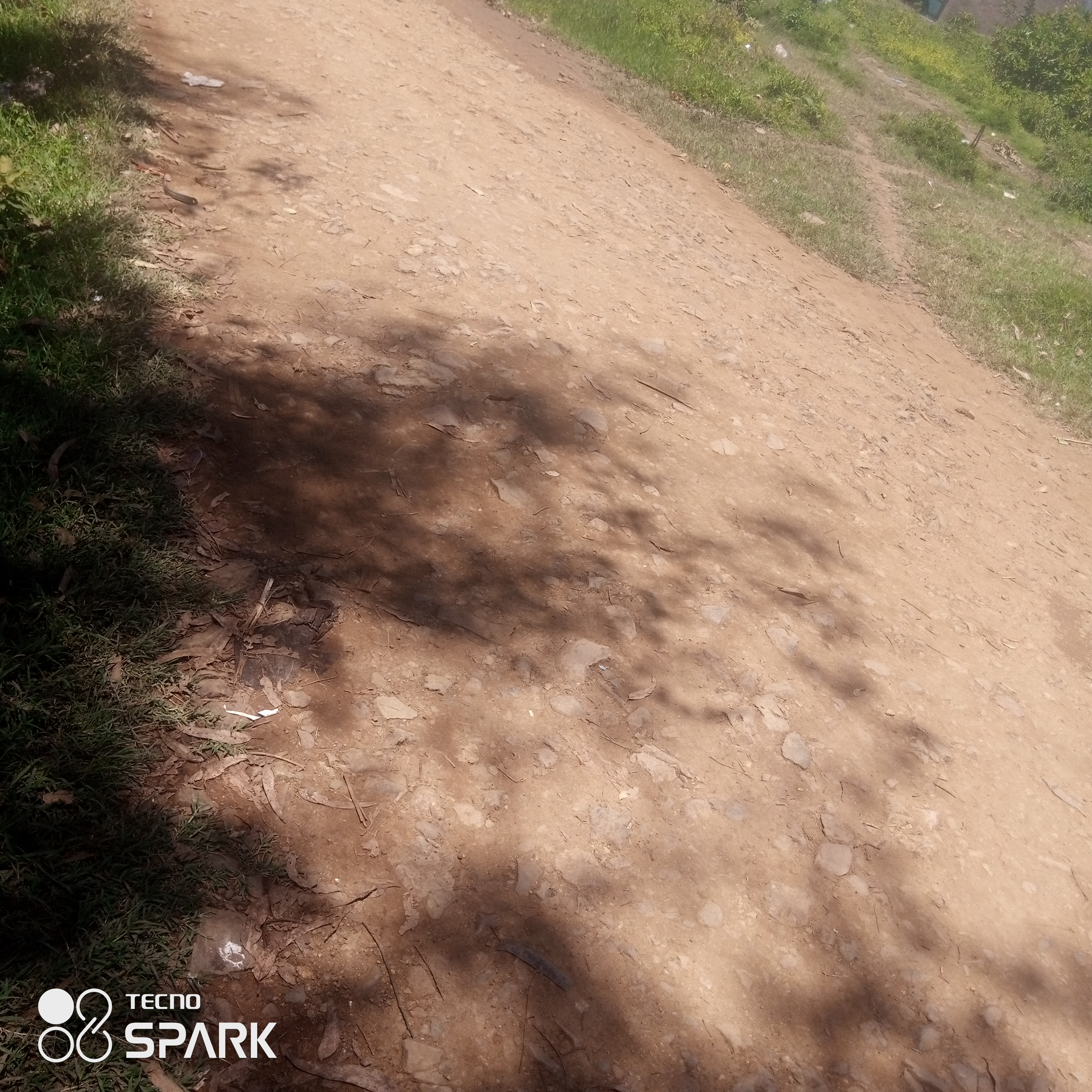 Proposed maintenance of Rodi kuja muche road