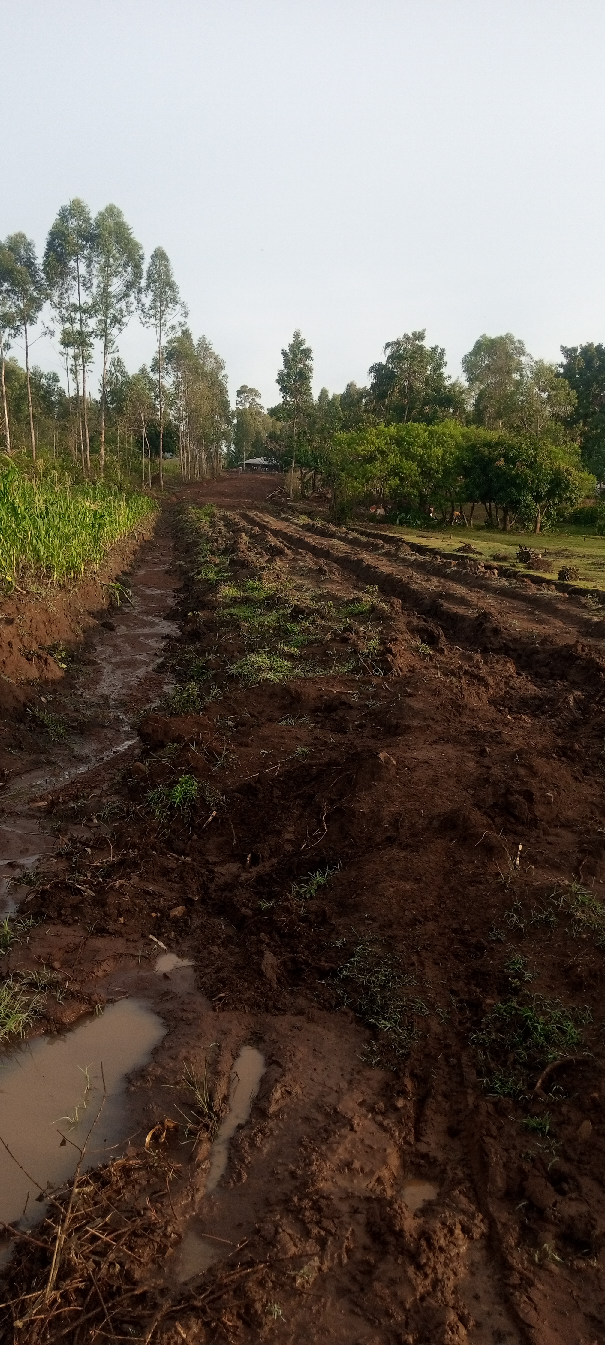 Pala Dispensary -analo-mituga ogedi road