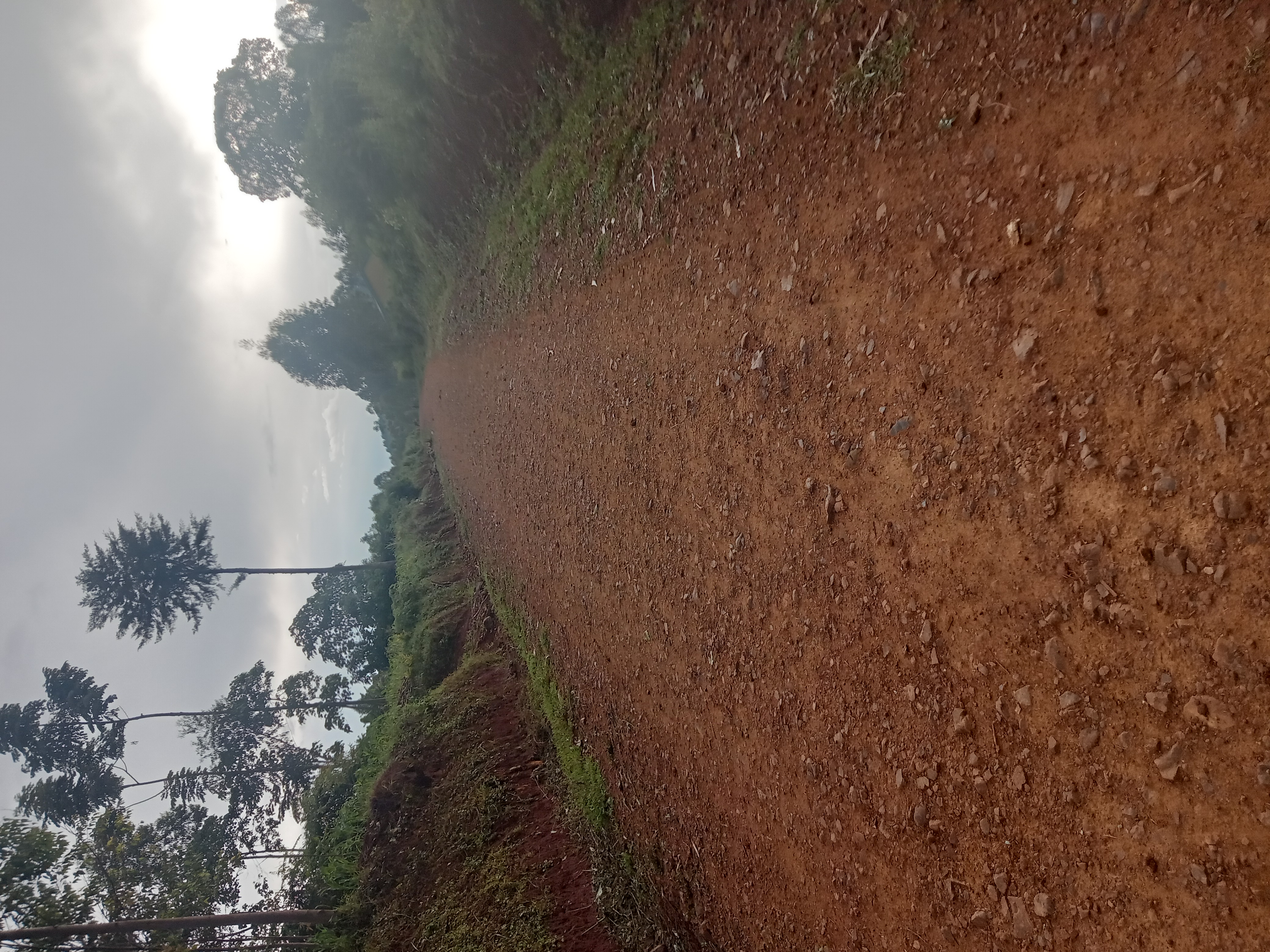 Legacy Path Kabondo Kasipul #709573181