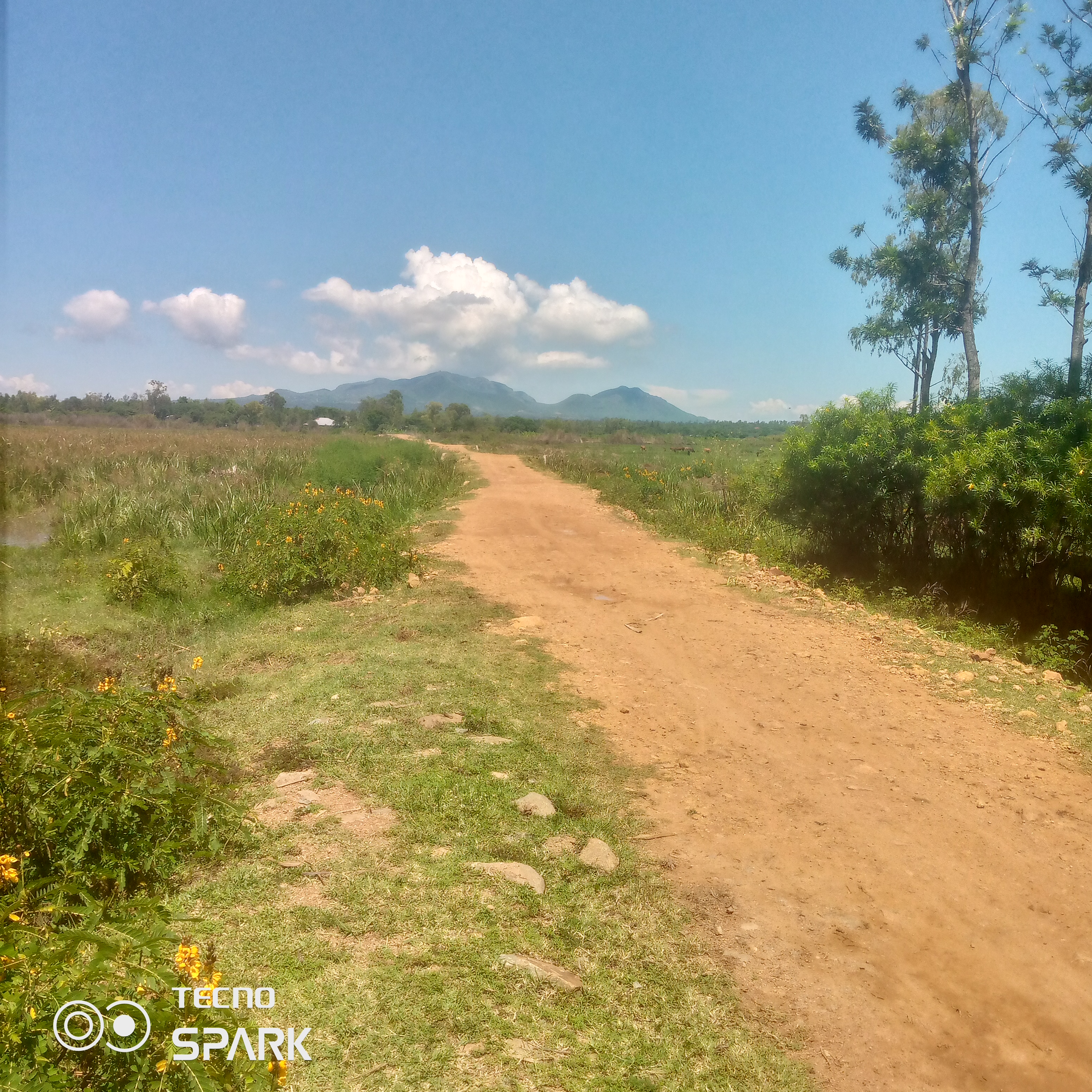 Routine maintenance of paul mboya-simbi-kamuga road