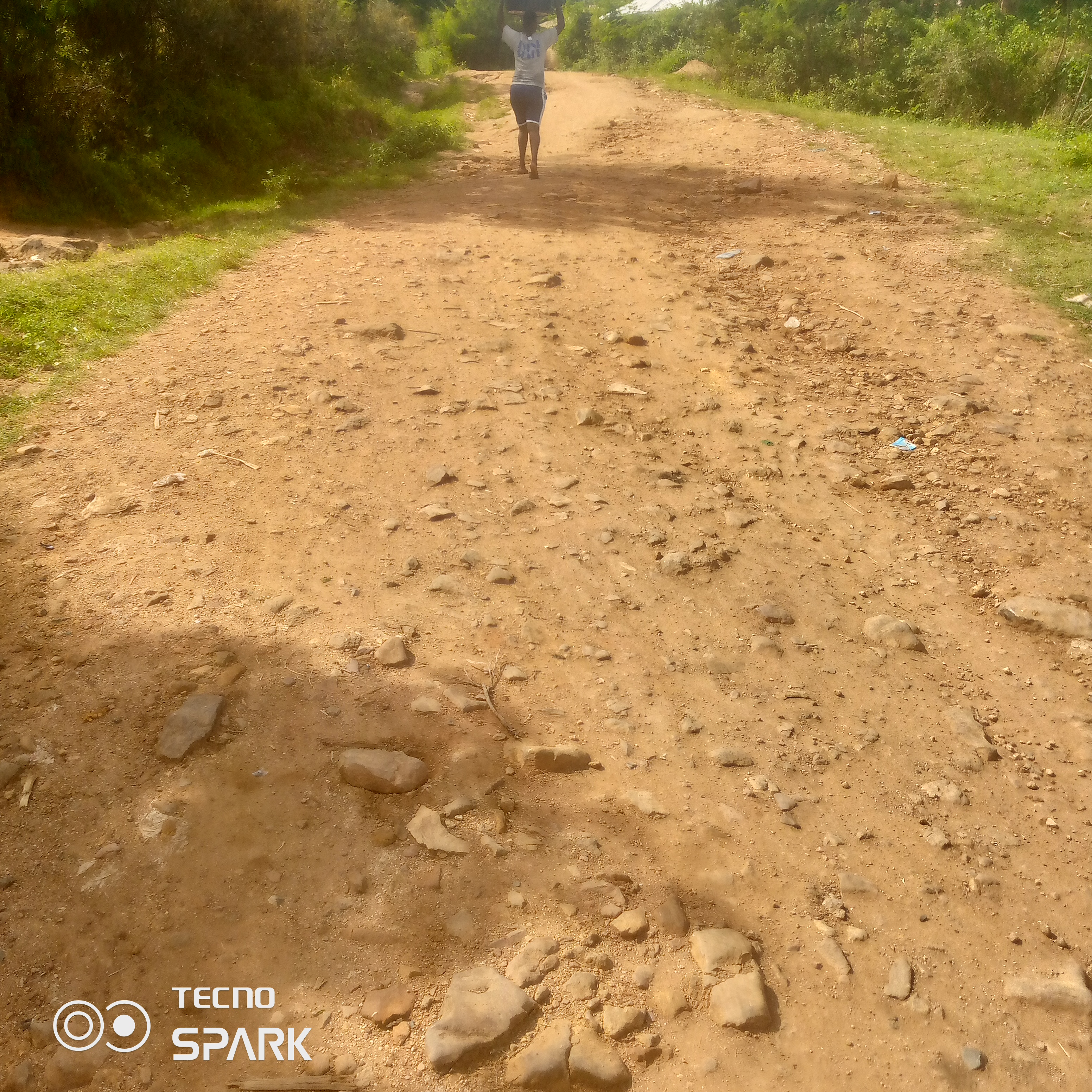 Improvement of asses to oriang market