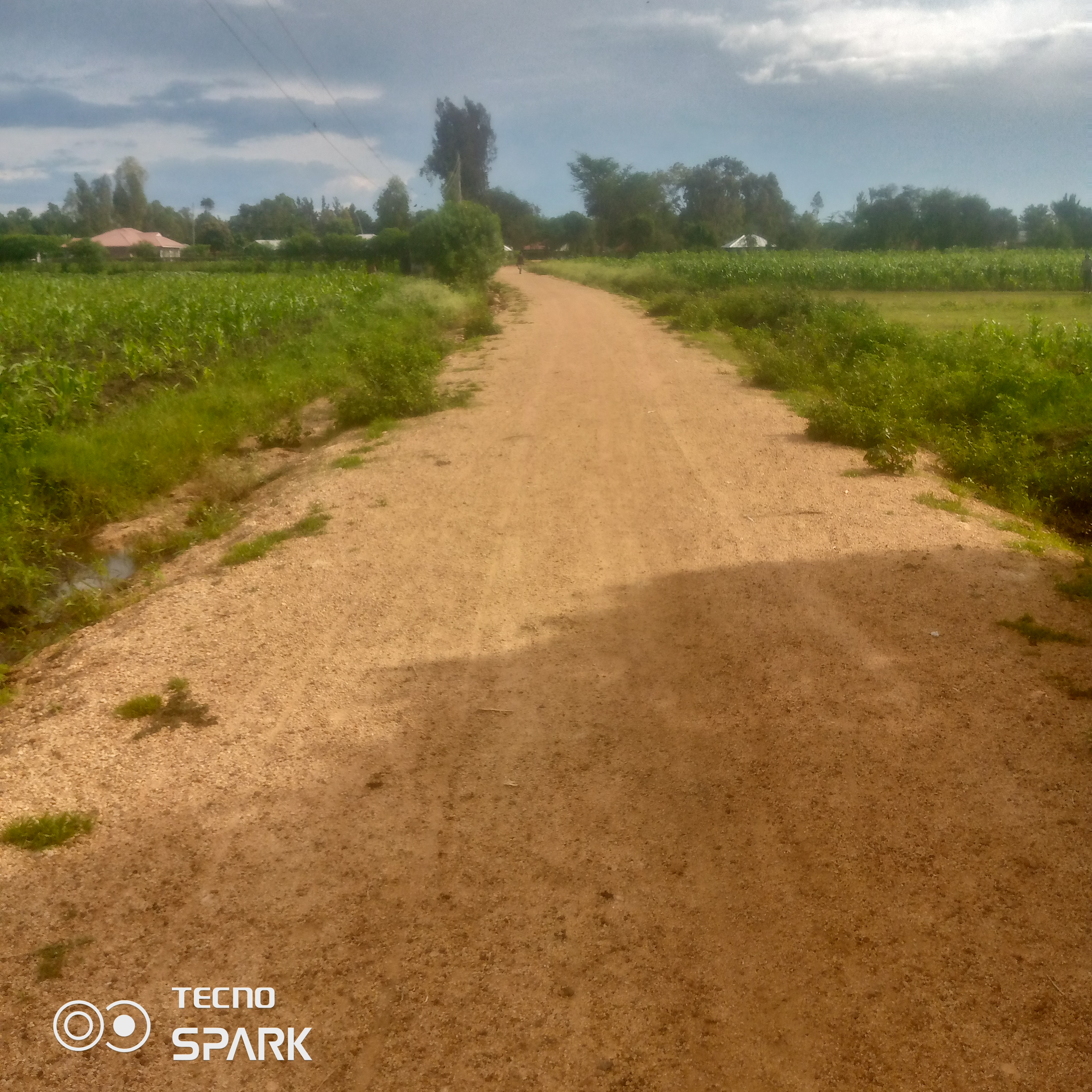 Jakobiero-ngutu road