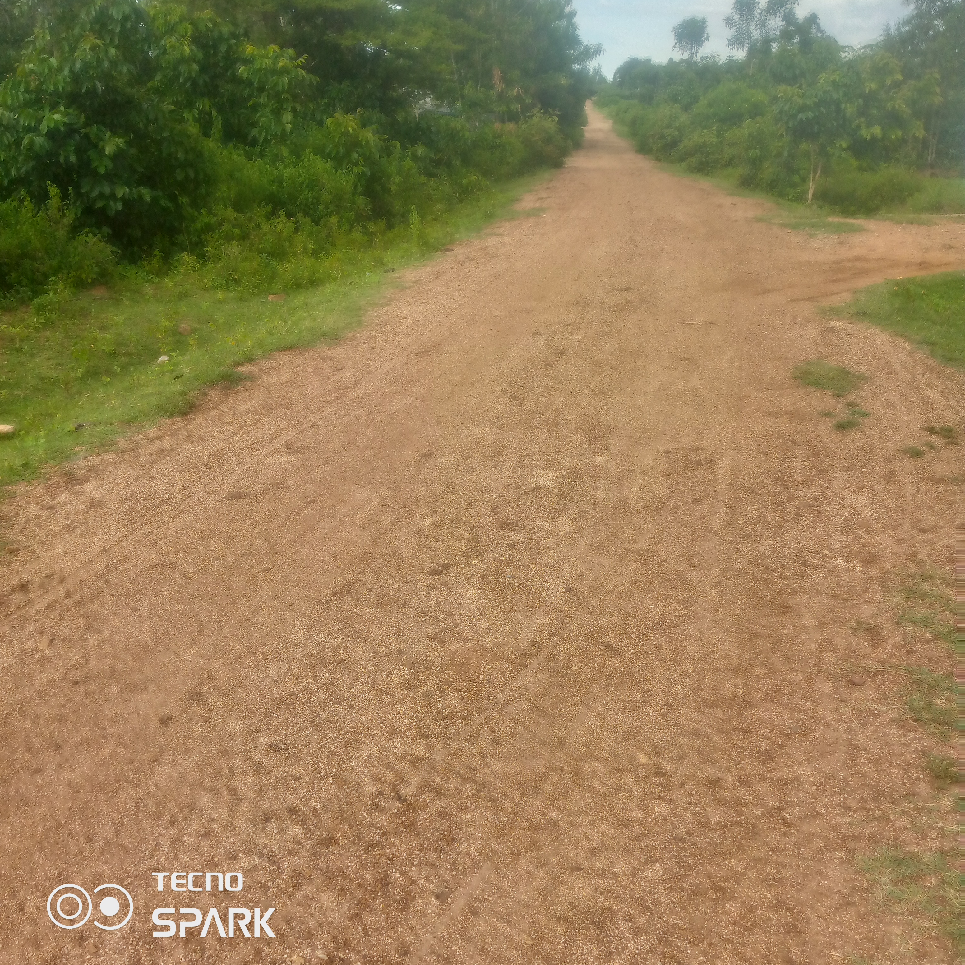 Routine maintenance of jnc kanyadhiang-kodera sare road