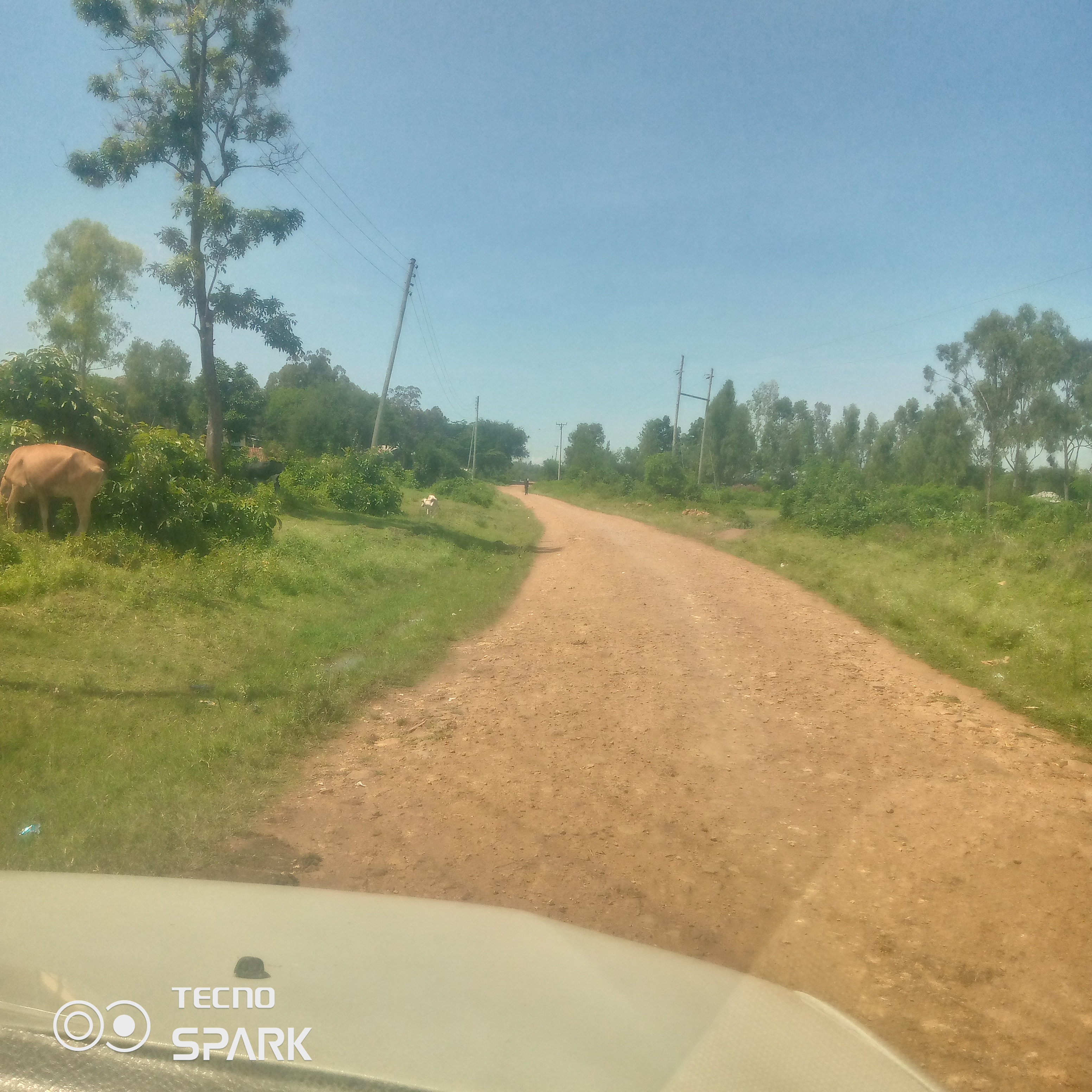 Routine maintenance of adiedo-arido sda-kadel mkt road