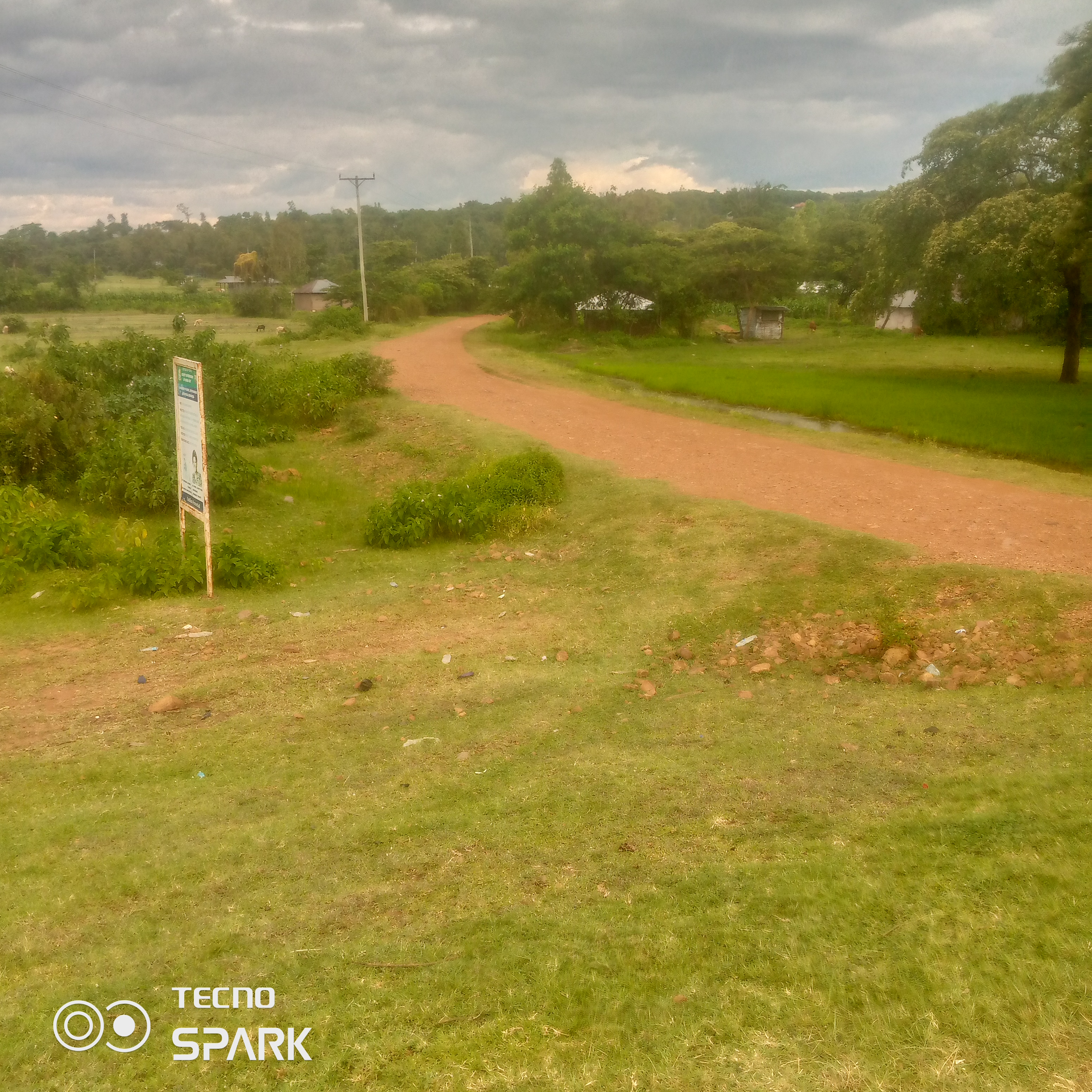 Sare omboga