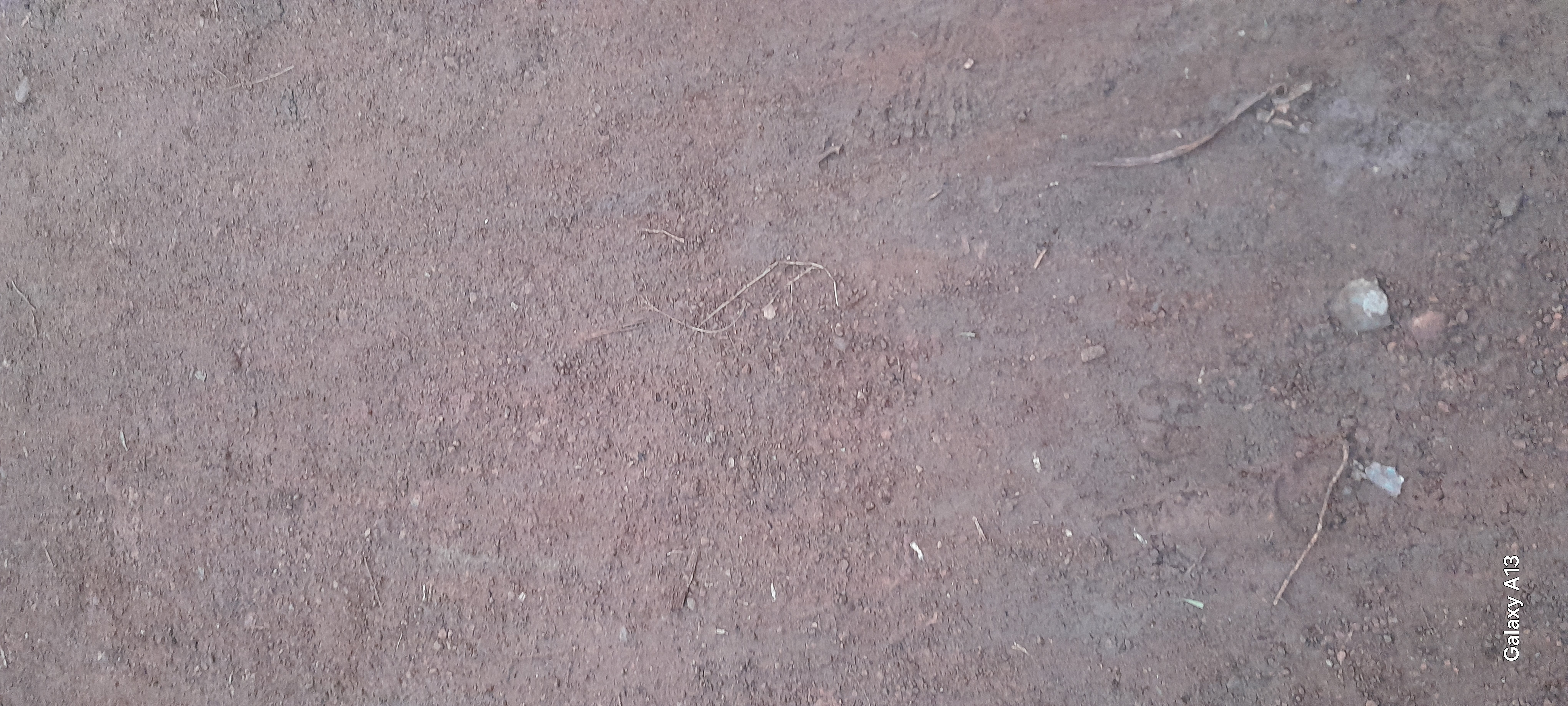 Konyango rabuor-Abura primaey road