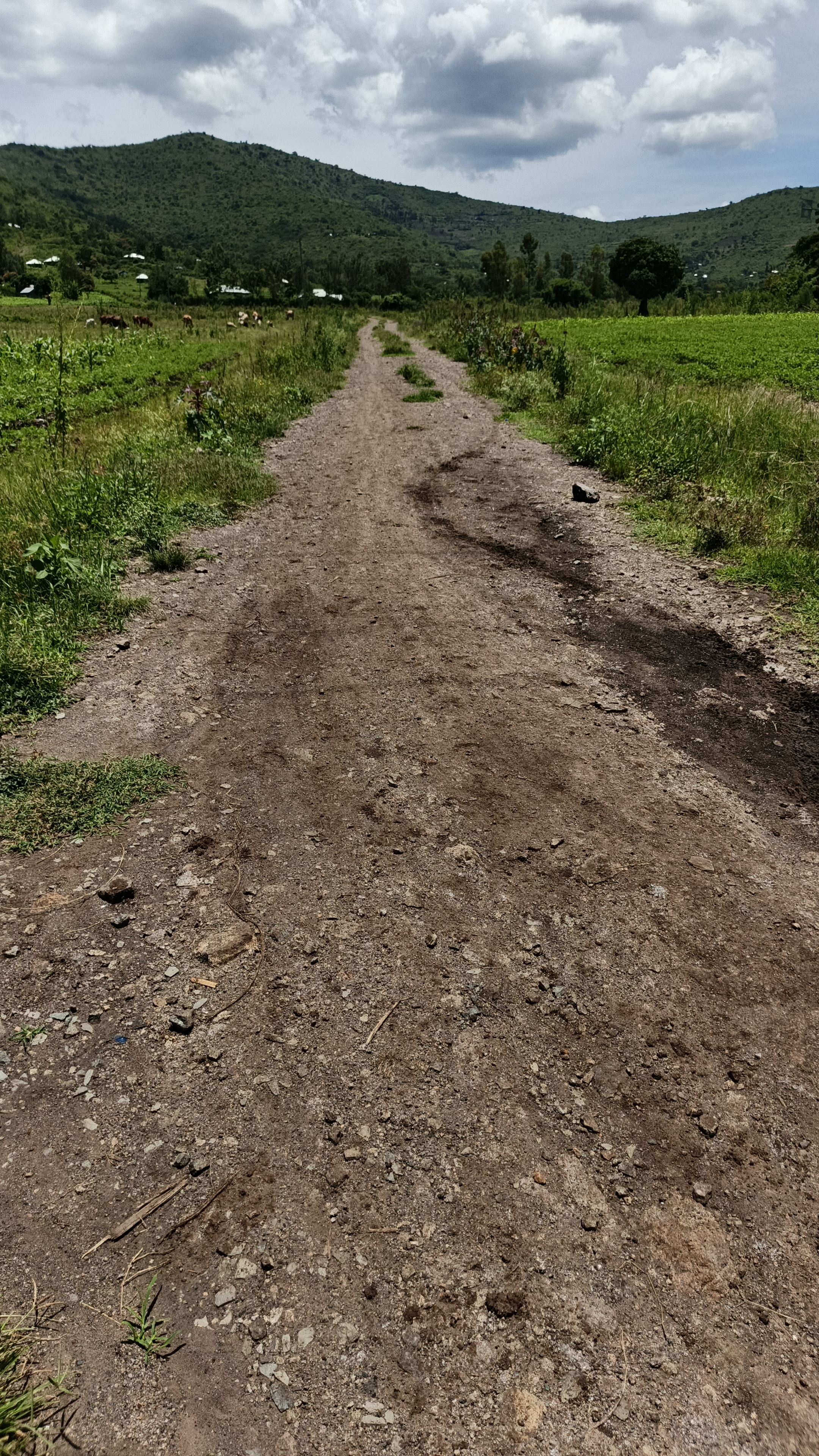 Nyawacha- Olando ring road