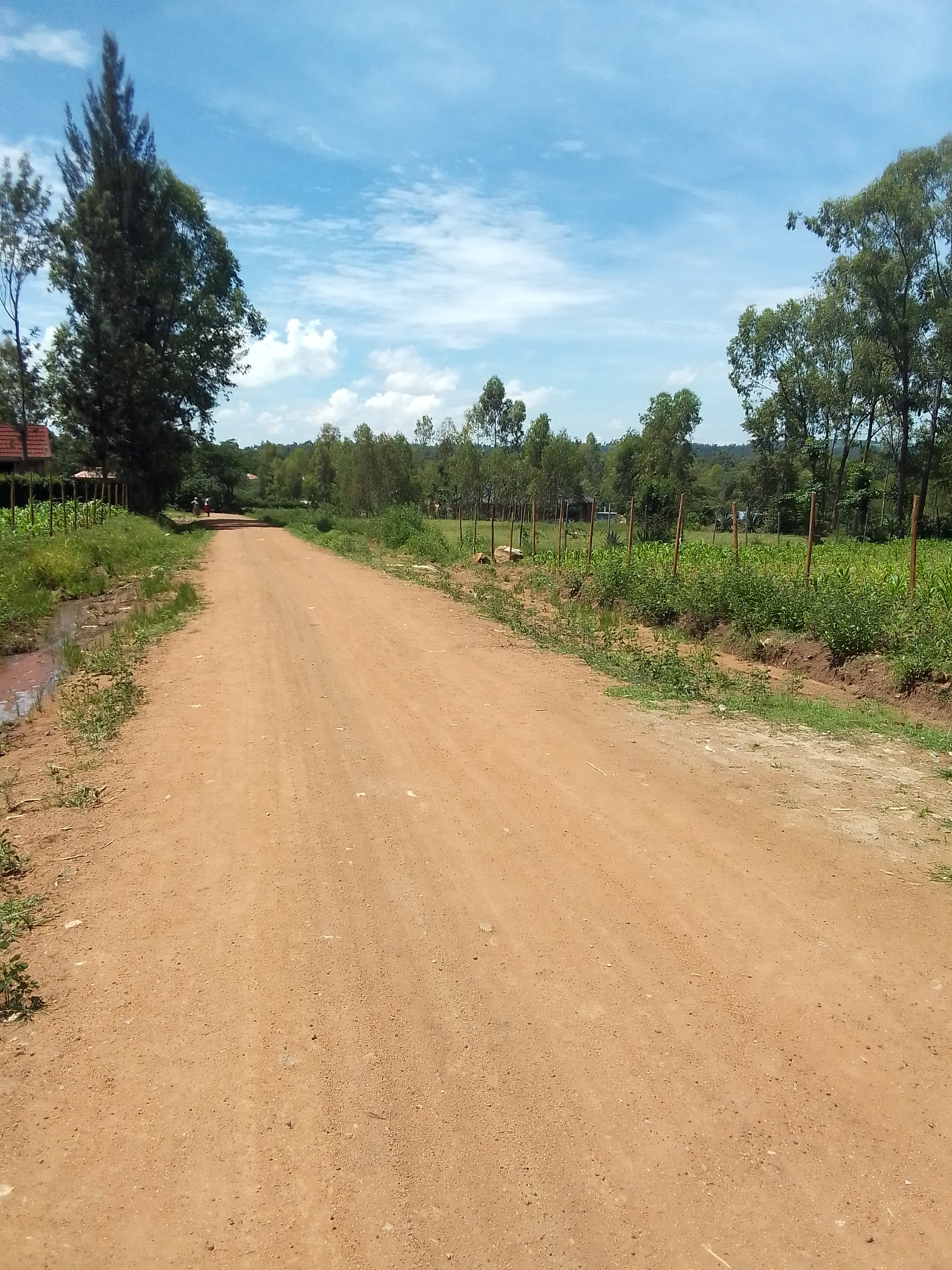 Kocharo- Koloo Joseph - Konyango ondigo Road