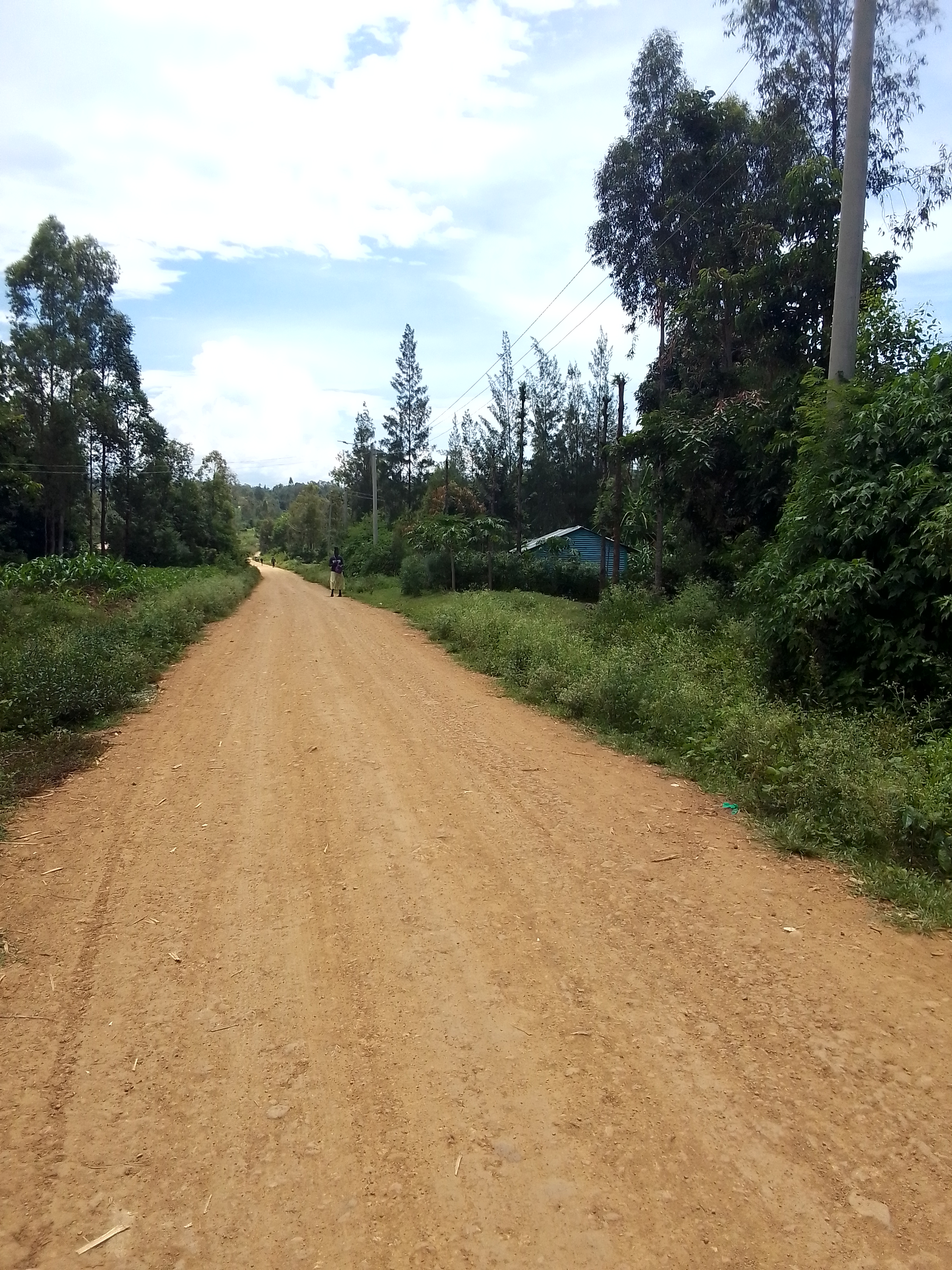 Ndiru - Onjinyo road