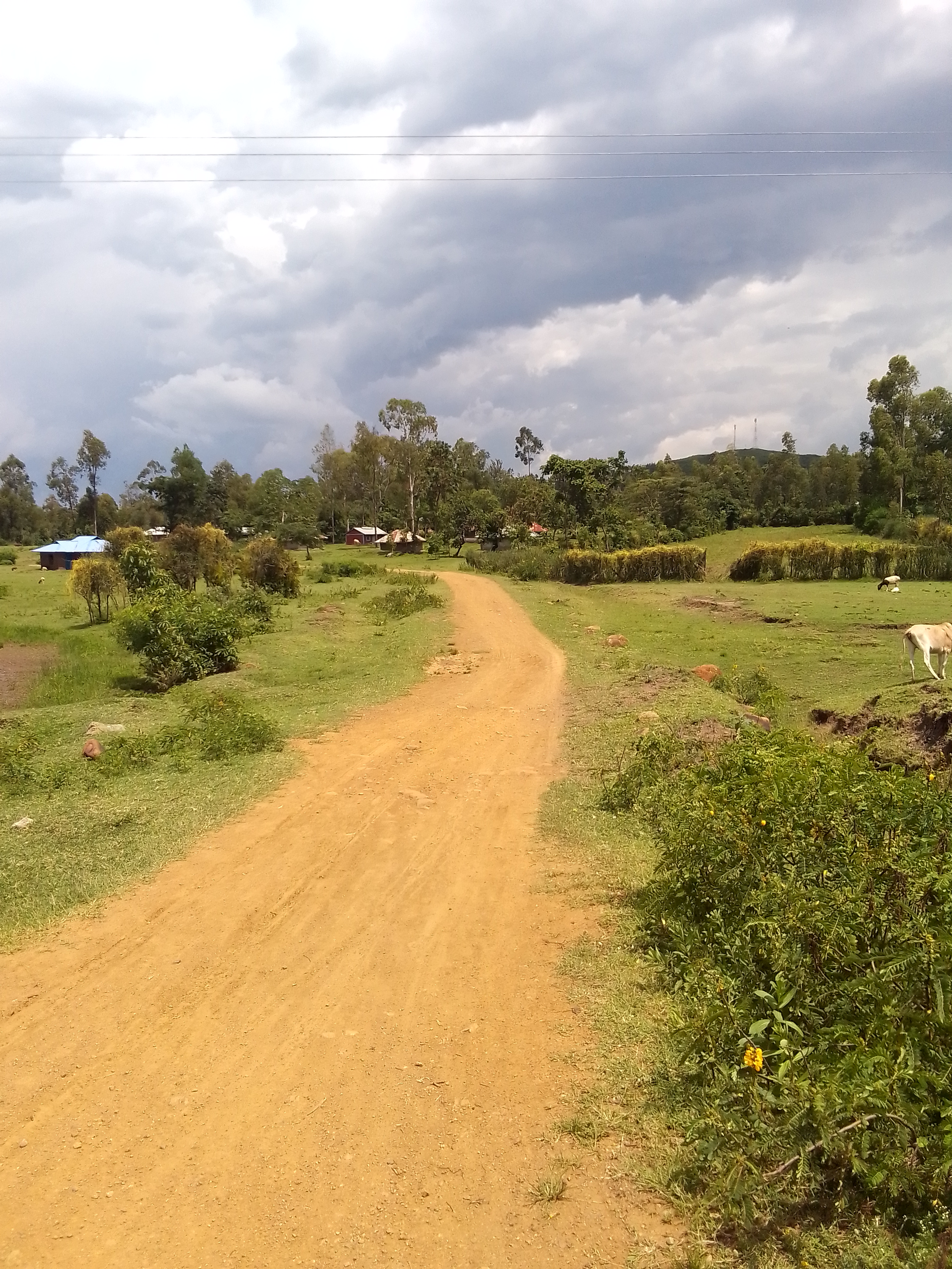 Maintenance of God puro- Store pamba road